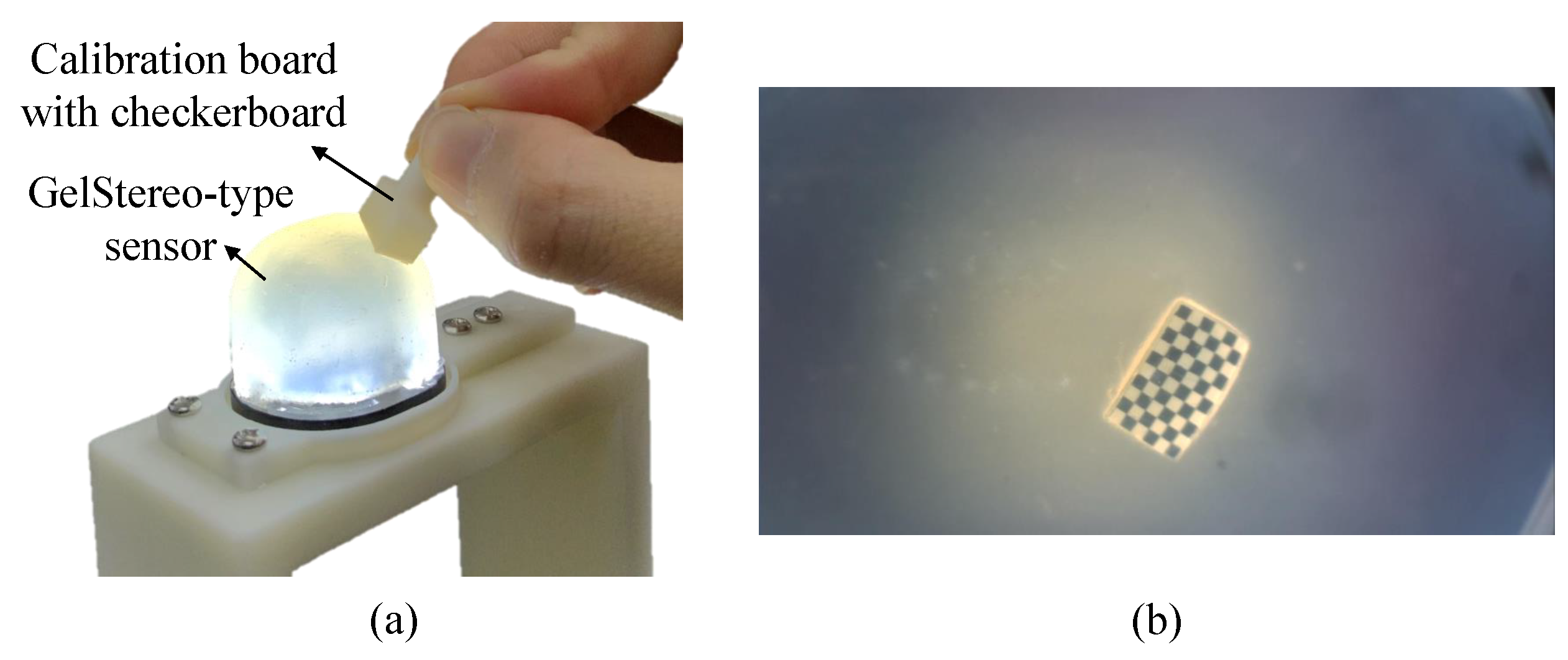 Sensors 23 02675 g006