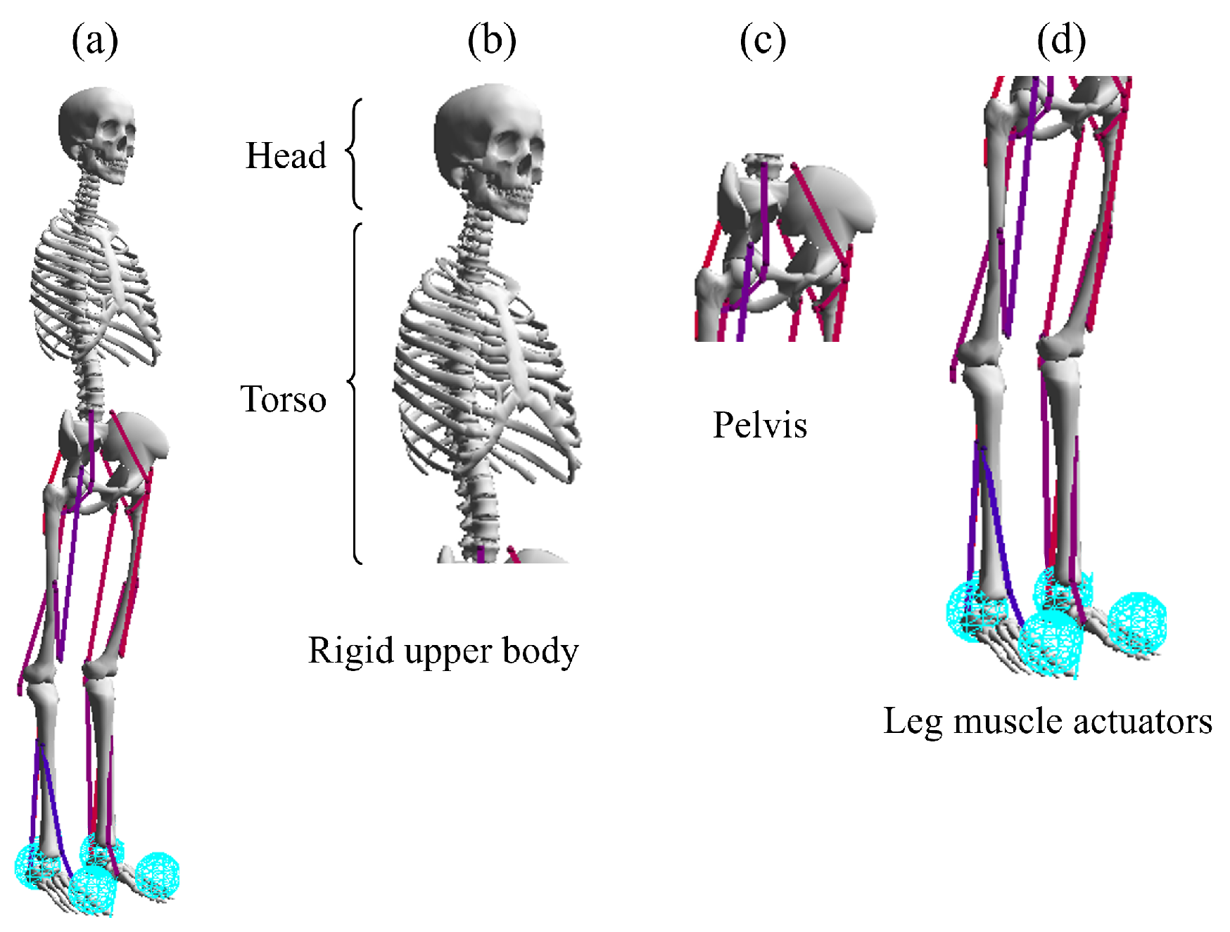 Sensors 23 02698 g001