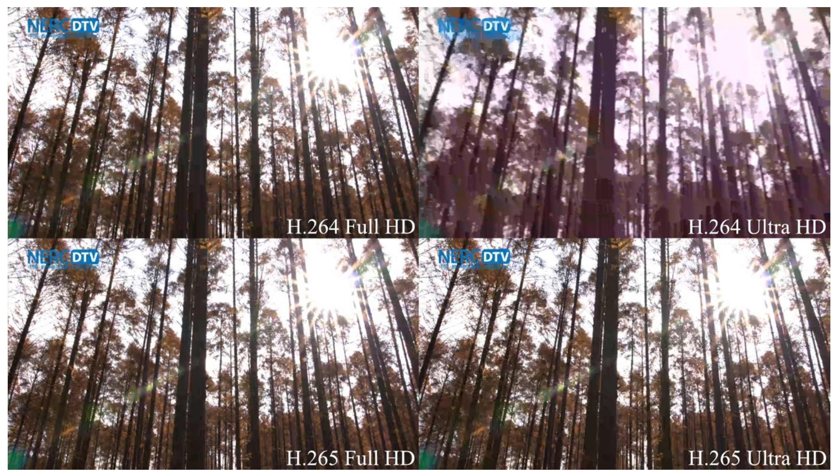 Sensors 23 02744 g007