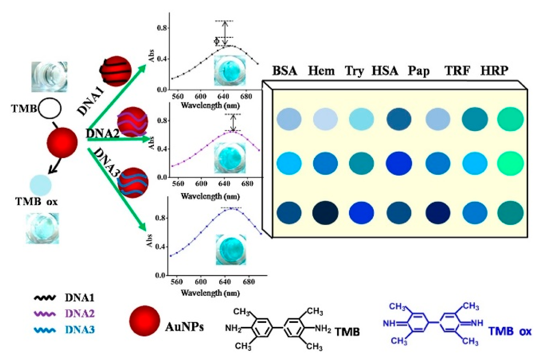 Sensors Free FullText Colorimetric Sensors for Chemical and