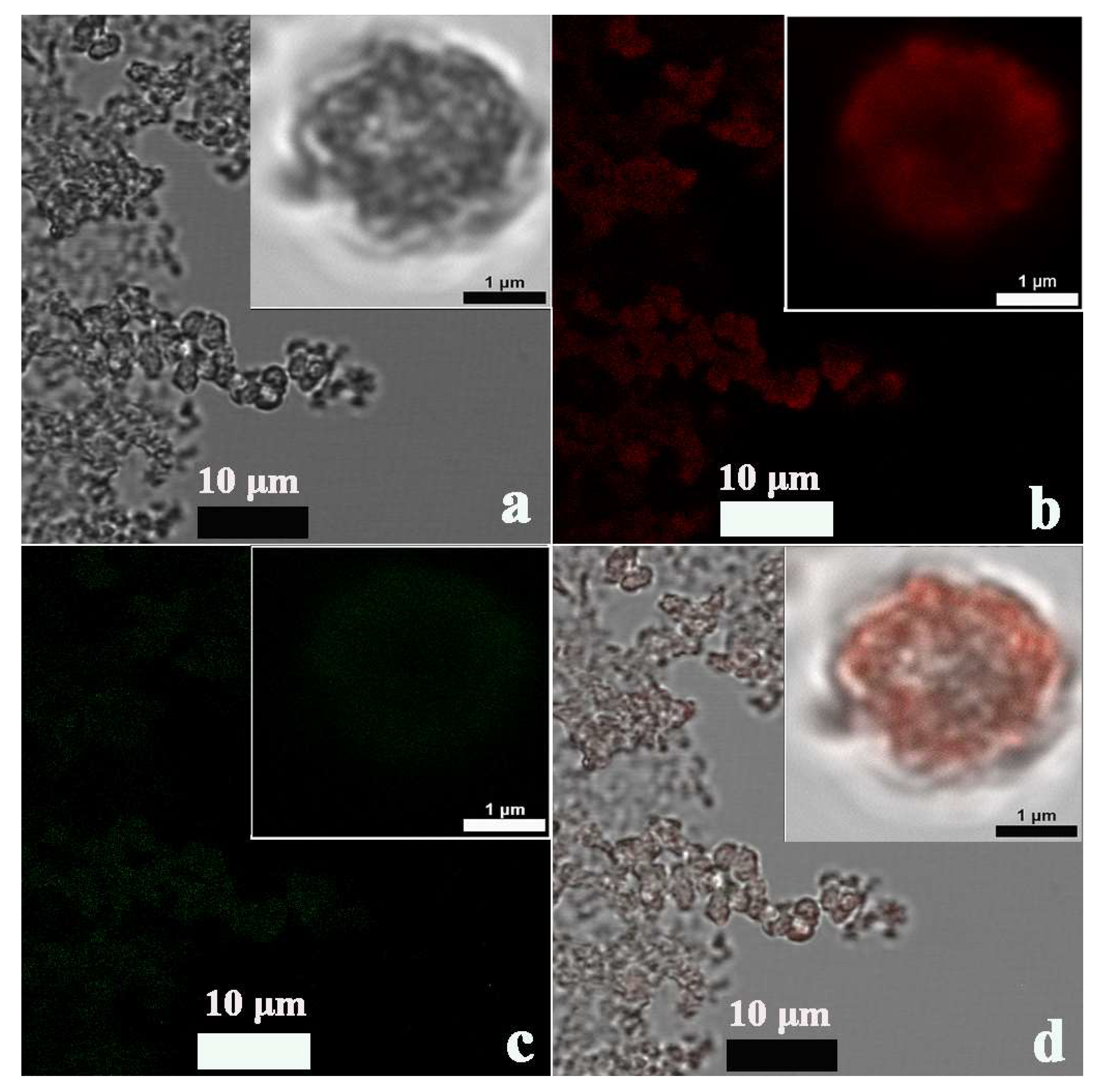 Sensors 23 02779 g002 Sensors 23 02779 g002