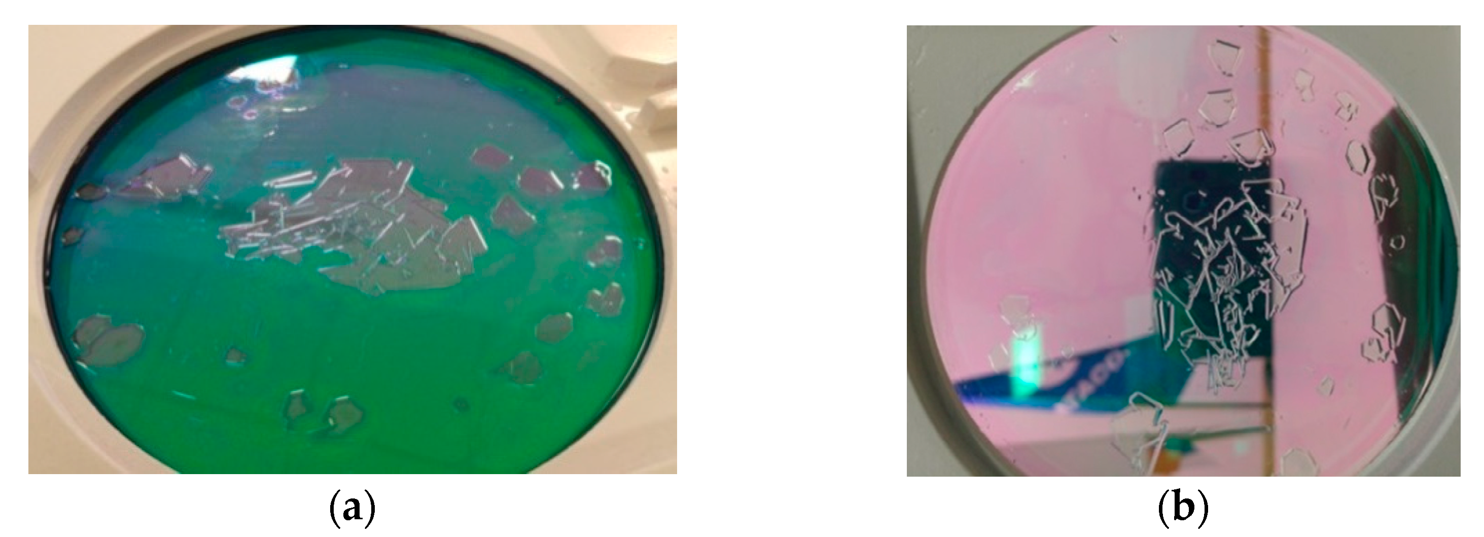 Sensors 23 02784 g011