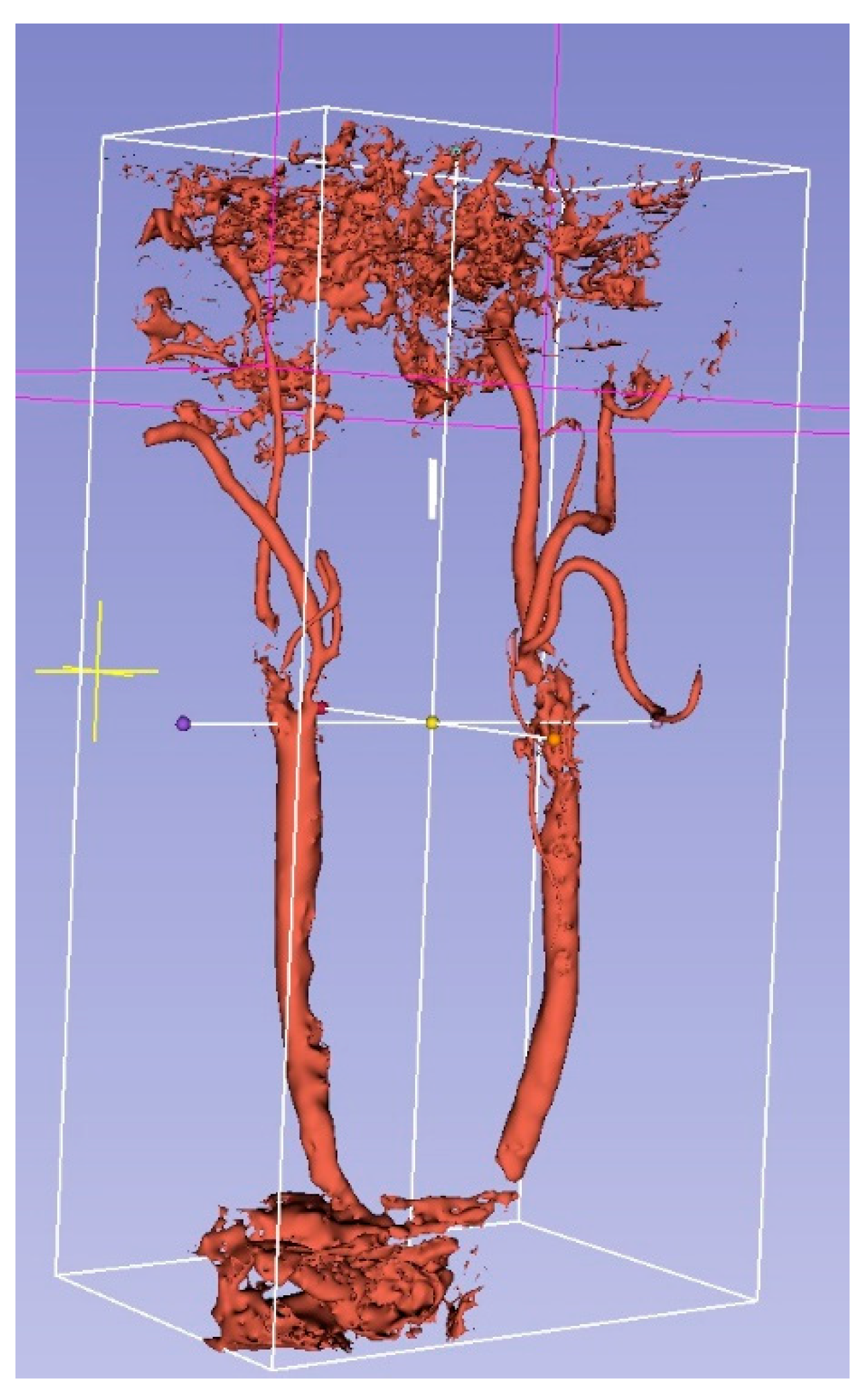 Sensors 23 02806 g002 Sensors 23 02806 g002