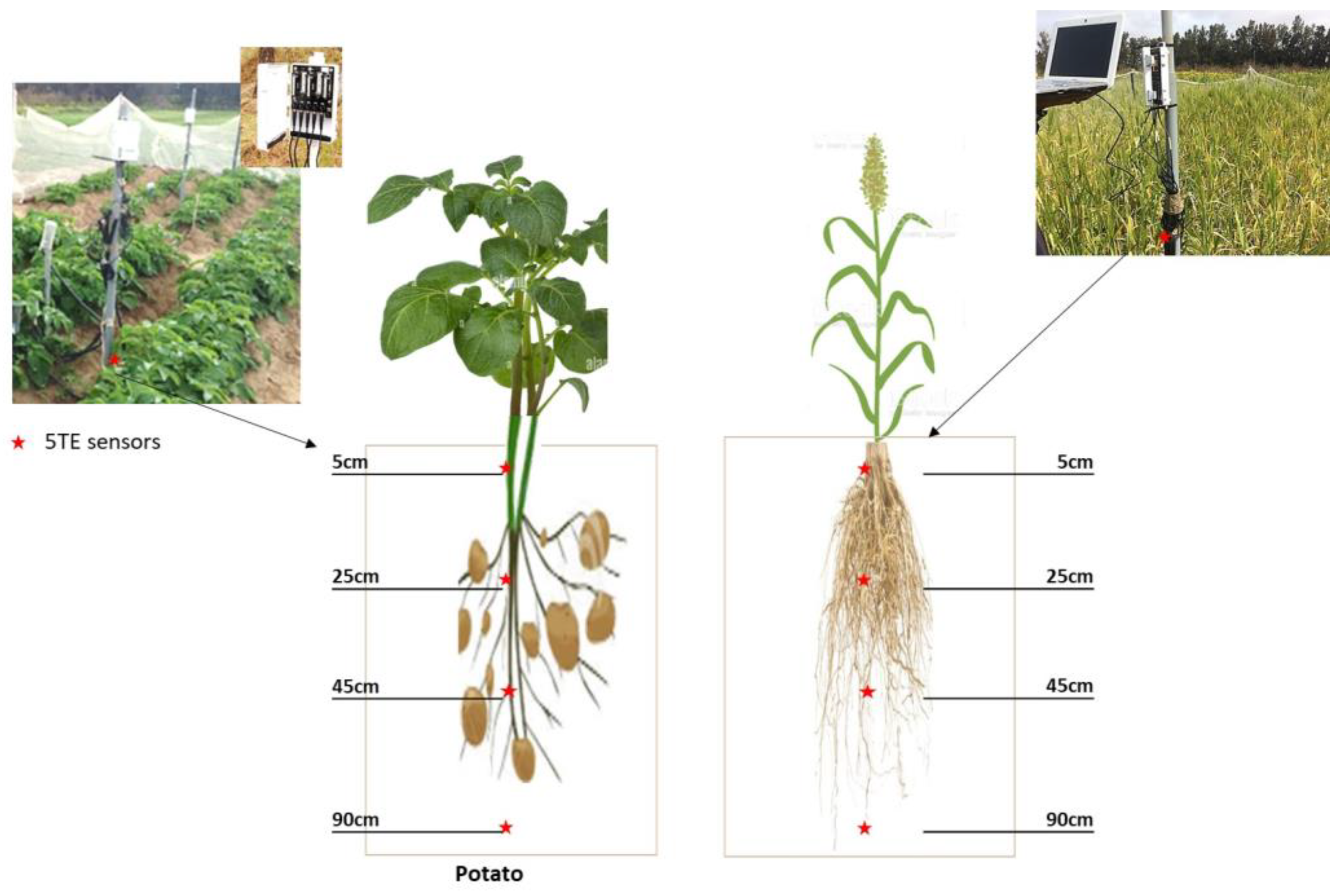 Sensors 23 02823 g002 Sensors 23 02823 g002