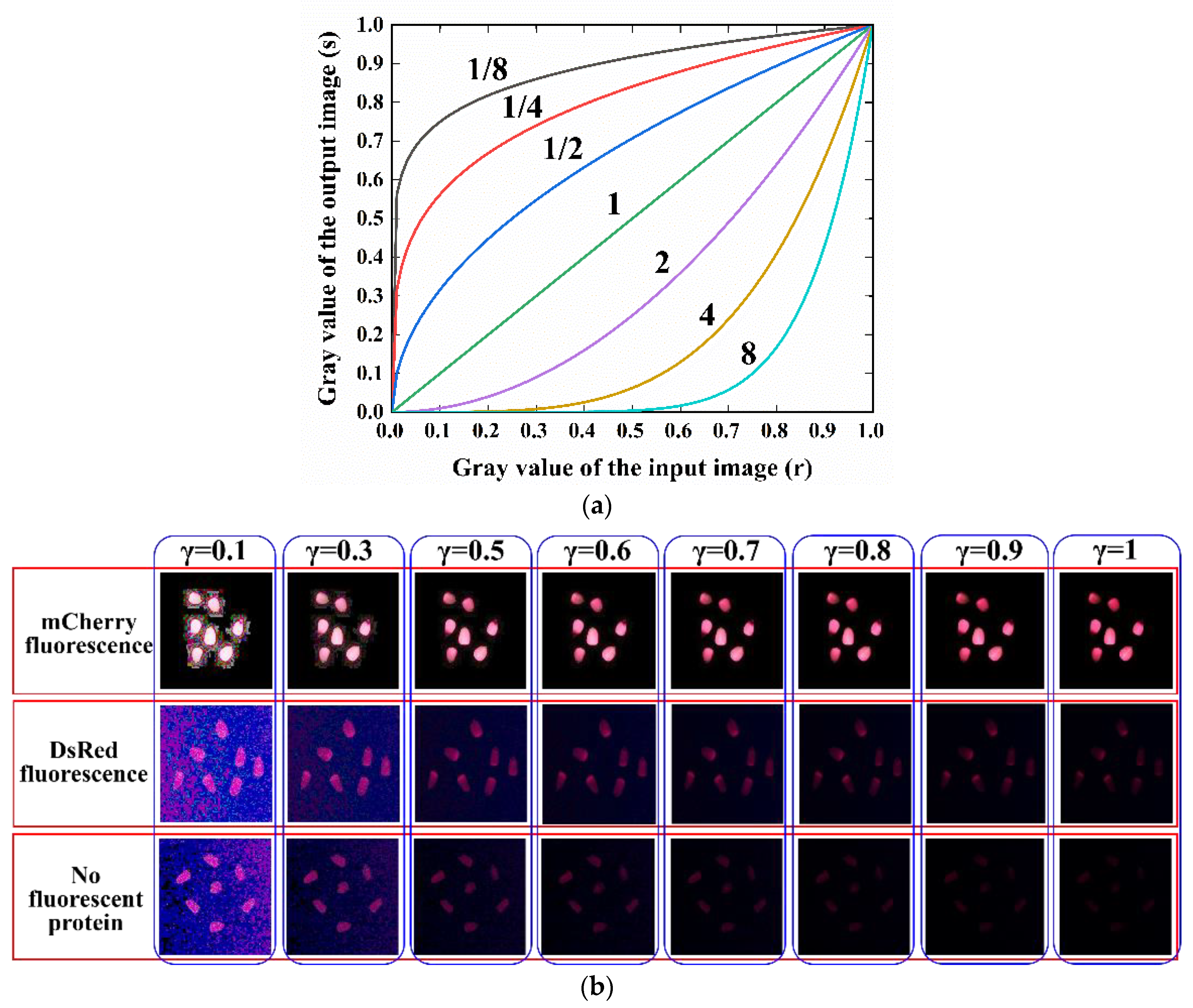 Sensors 23 02840 g007 Sensors 23 02840 g007