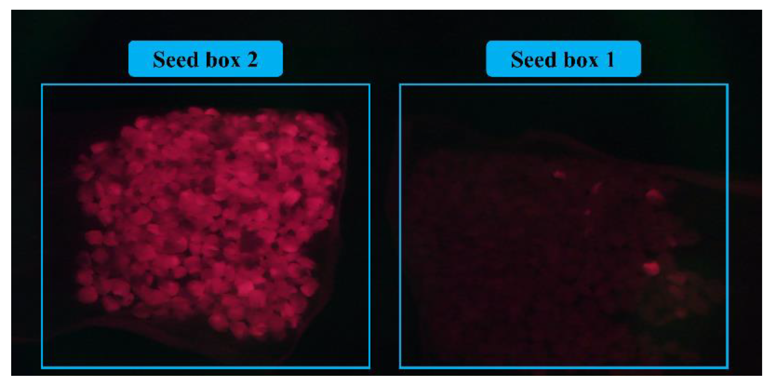 Sensors 23 02840 g015 Sensors 23 02840 g015