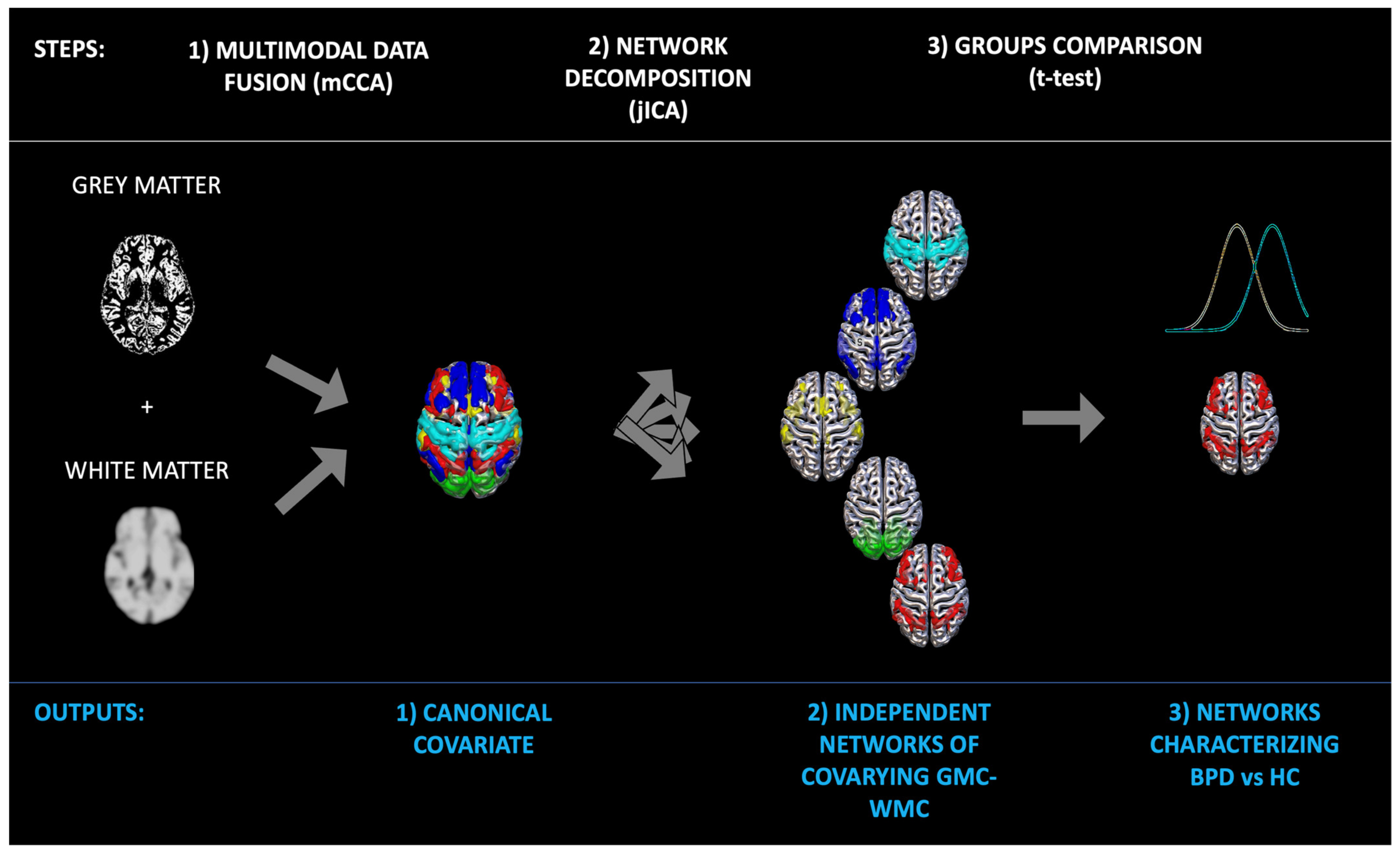 Sensors Free Full-Text Abnormal Brain Circuits Characterize Borderline Personality and Mediate the Relationship between Childhood Traumas and Symptoms A mCCA+jICA and Random Forest Approach pic