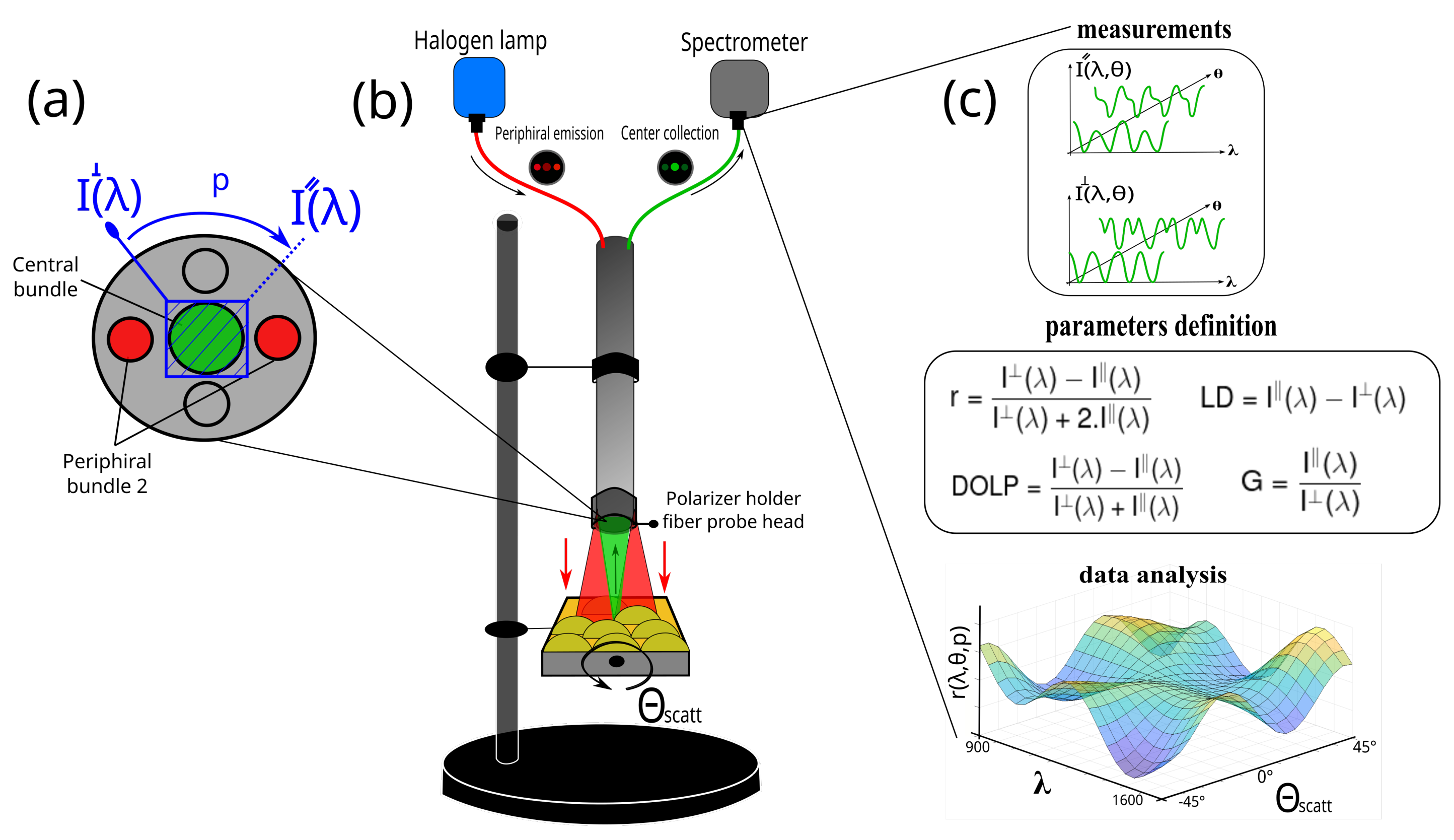 Sensors 23 02911 g001