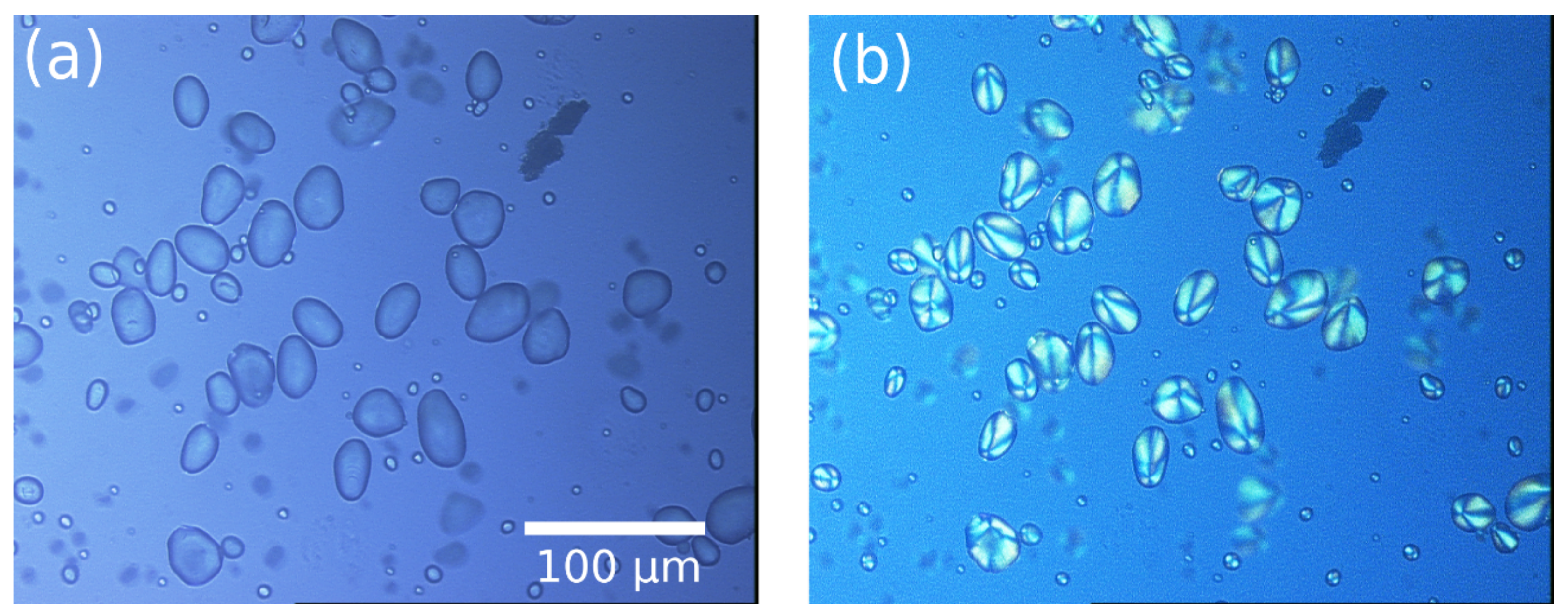 Sensors 23 02911 g002