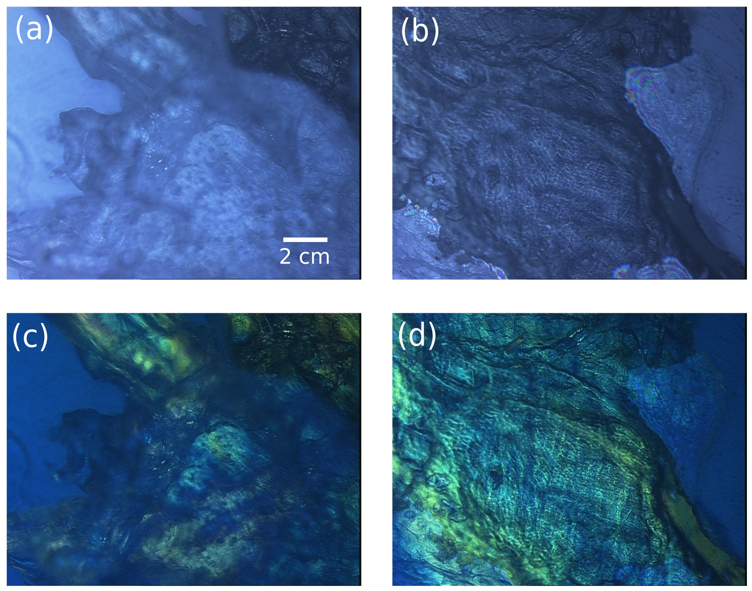 Sensors 23 02911 g005