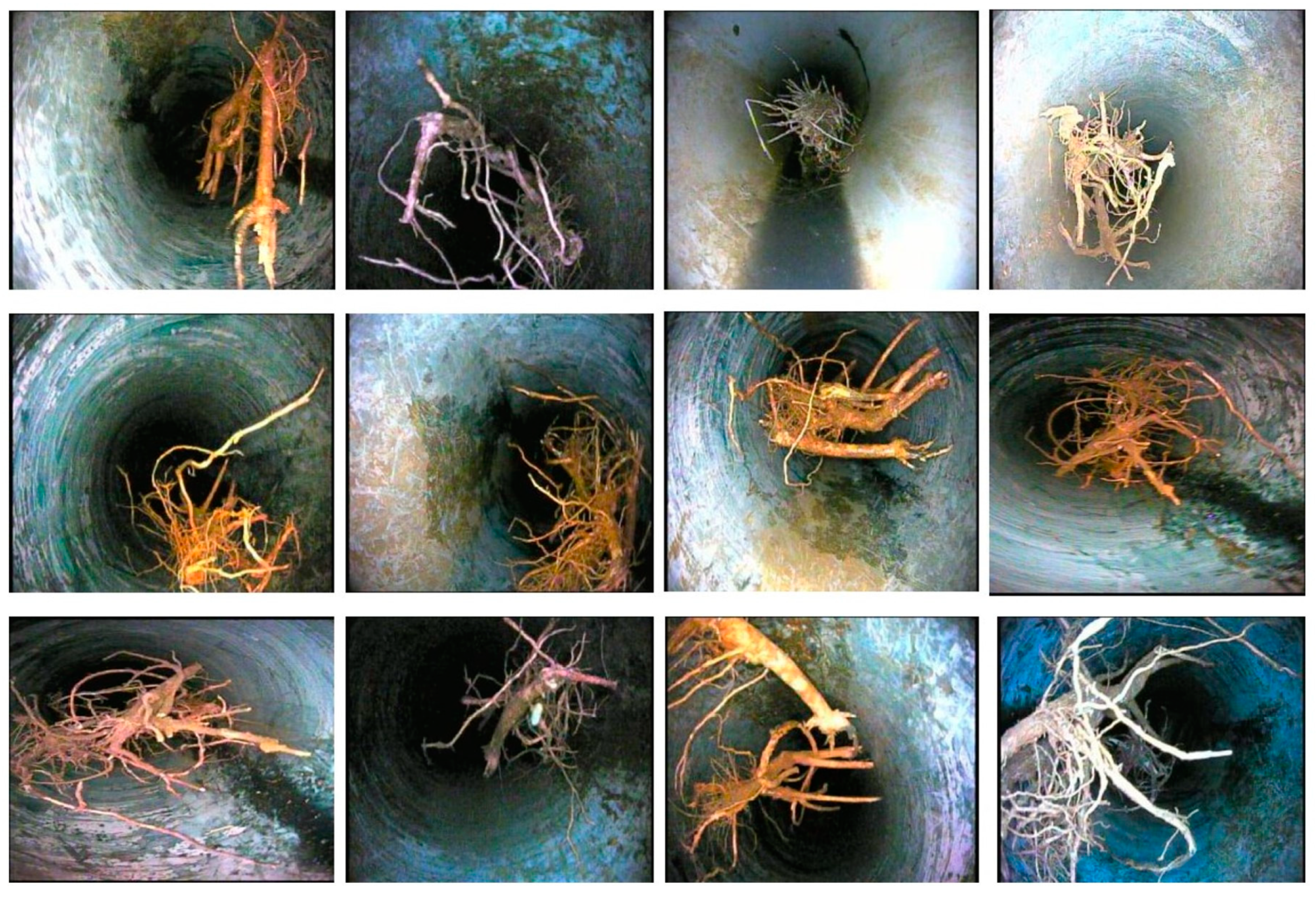 Sensors 23 02966 g005