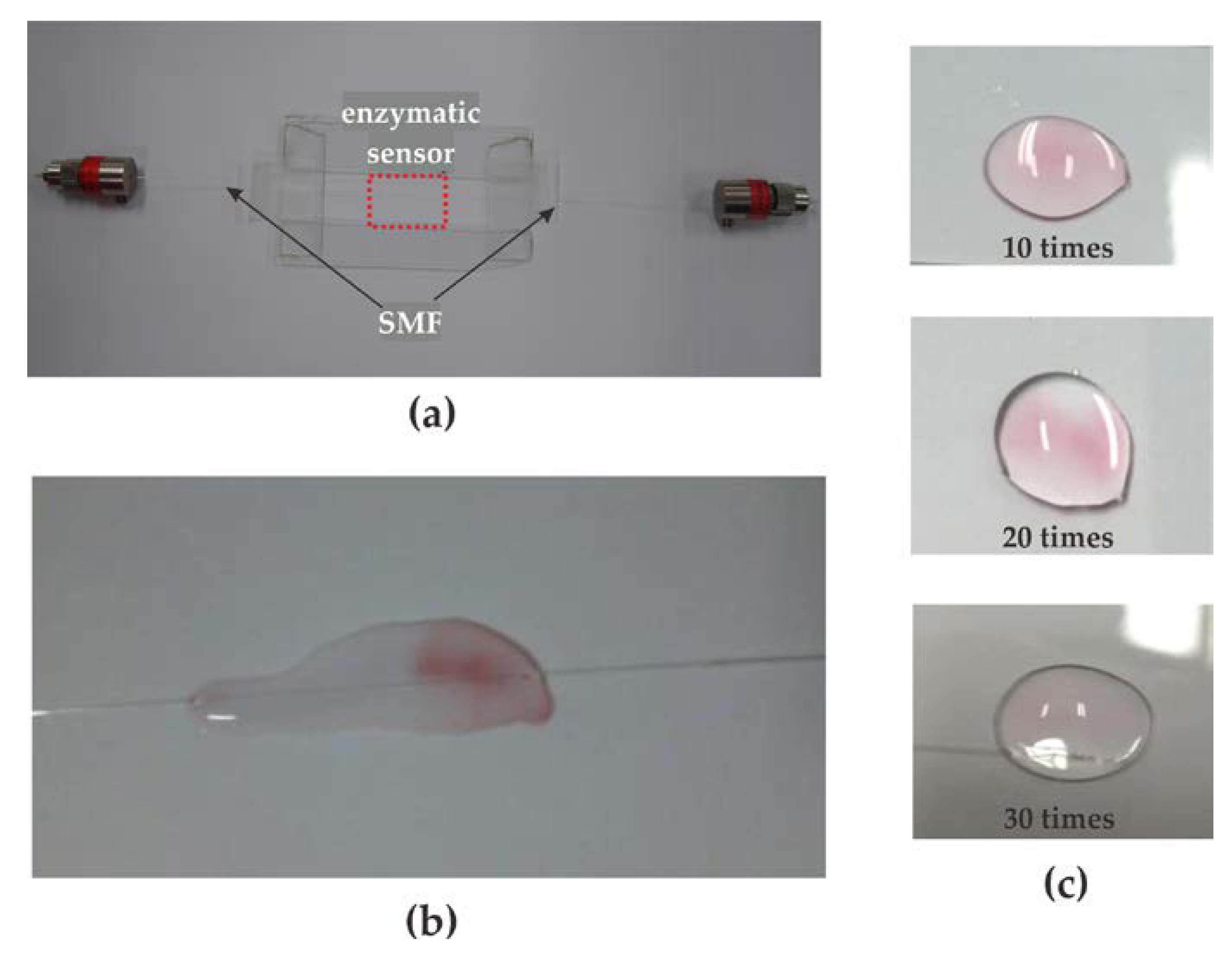 Sensors 23 02990 g004 Sensors 23 02990 g004