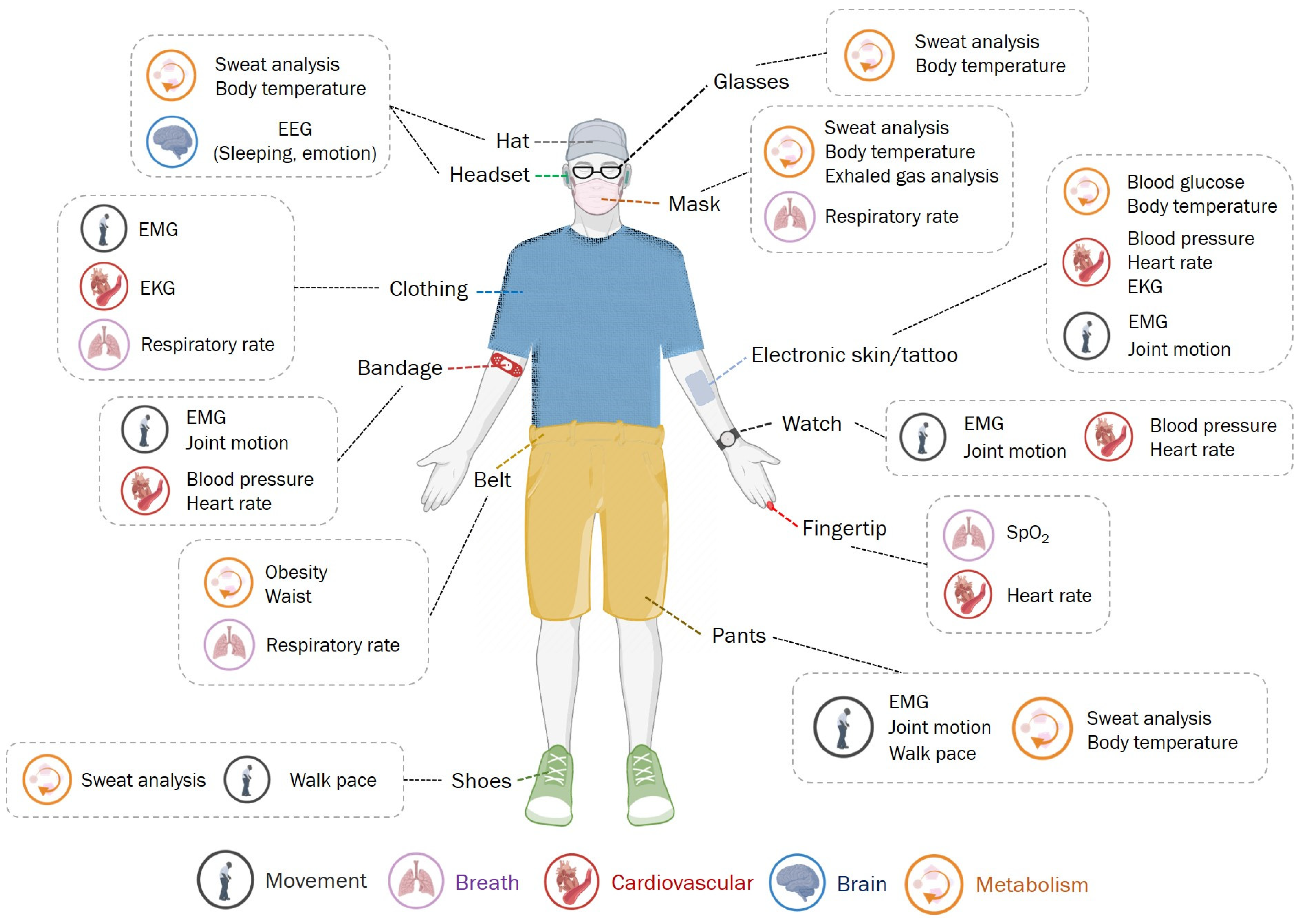 Dario Blood Glucose Monitor Kit  Monitor & Manage Diabetes with Ease -  Biometric Sports Solutions