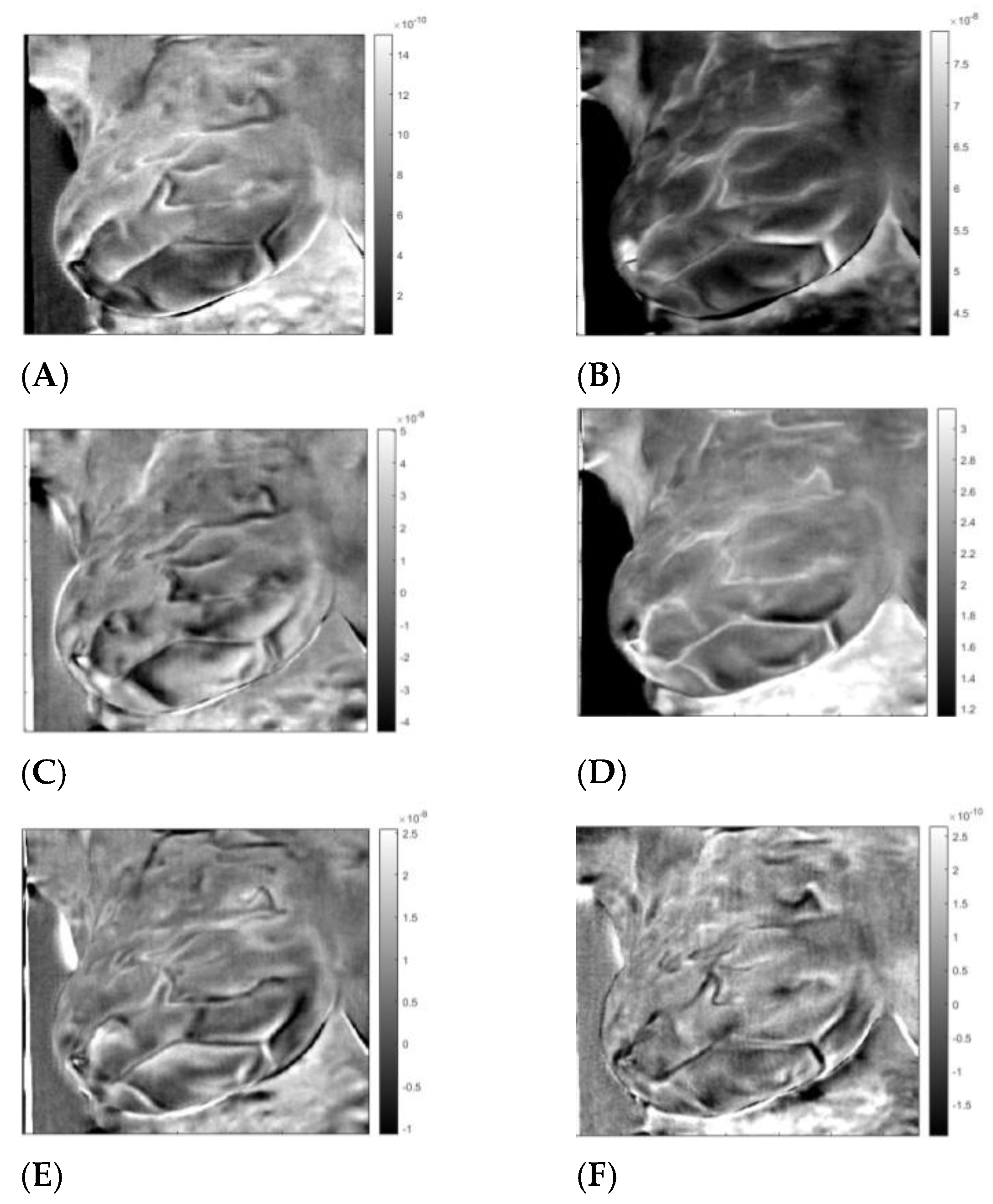 Sensors 23 03012 g002