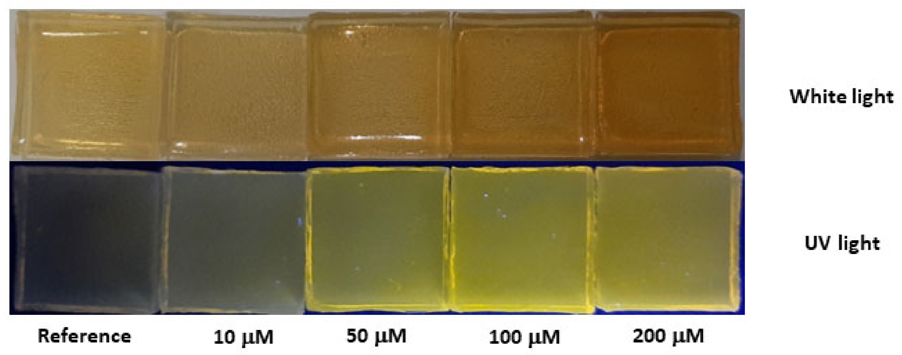 Sensors 23 03029 g007 Sensors 23 03029 g007