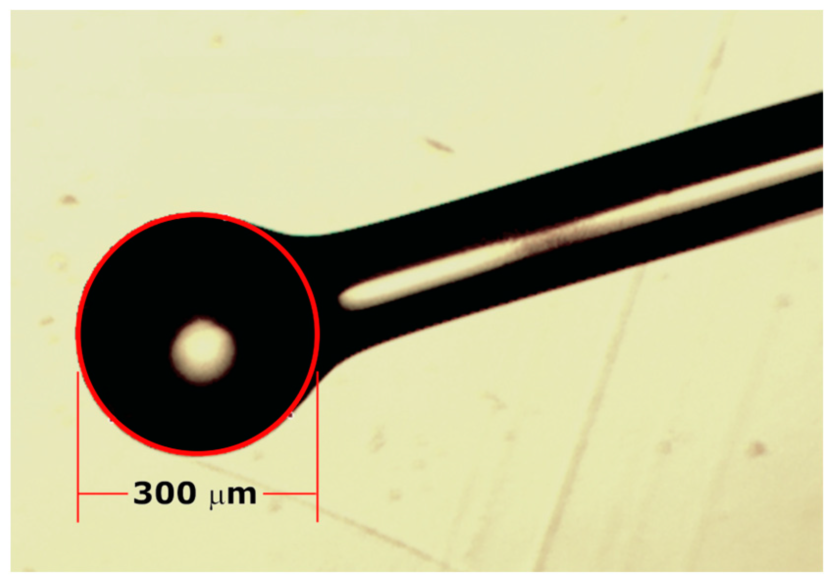 Sensors 23 03045 g001 Sensors 23 03045 g001