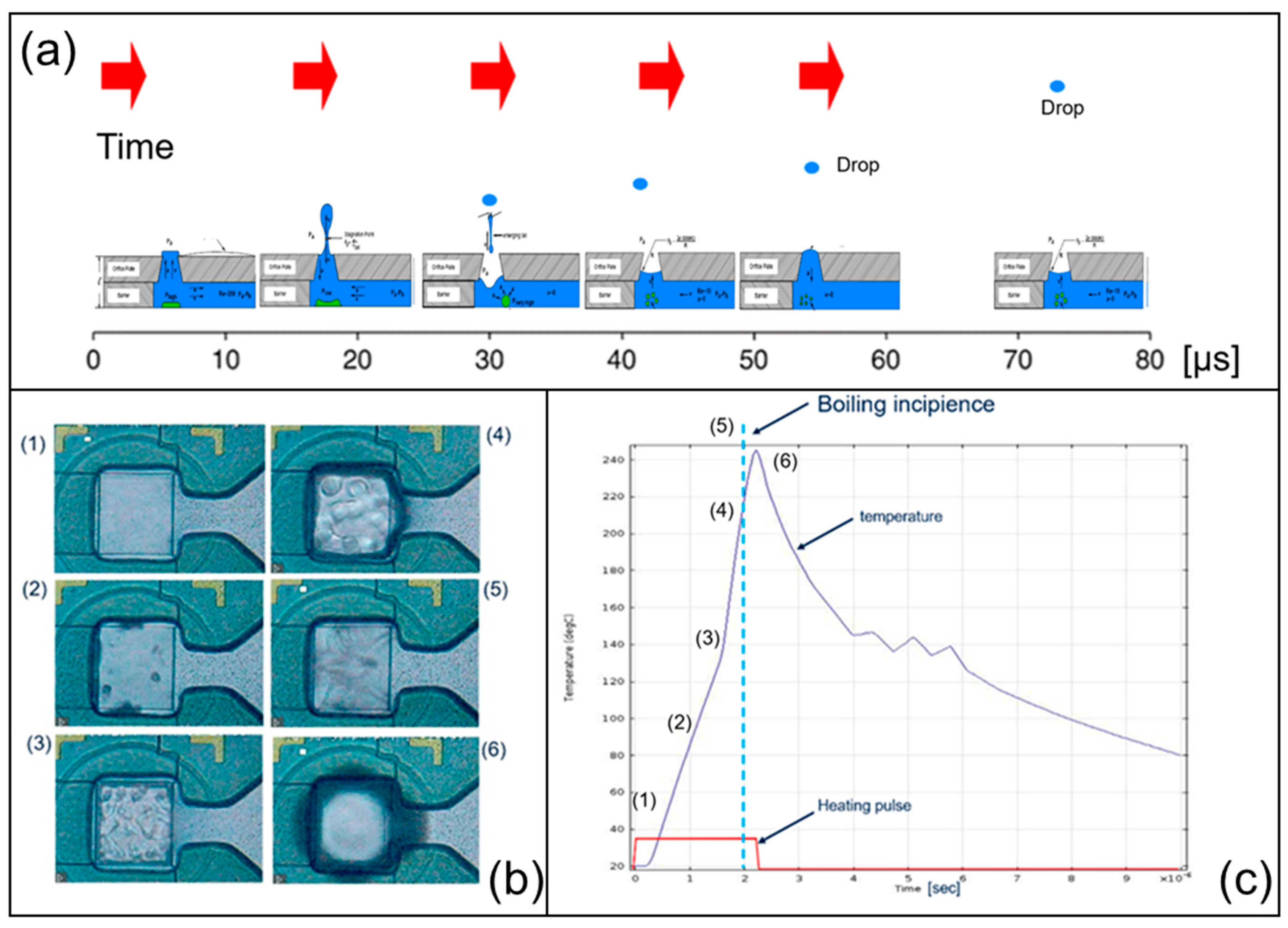 Sensors 23 03053 g001 Sensors 23 03053 g001