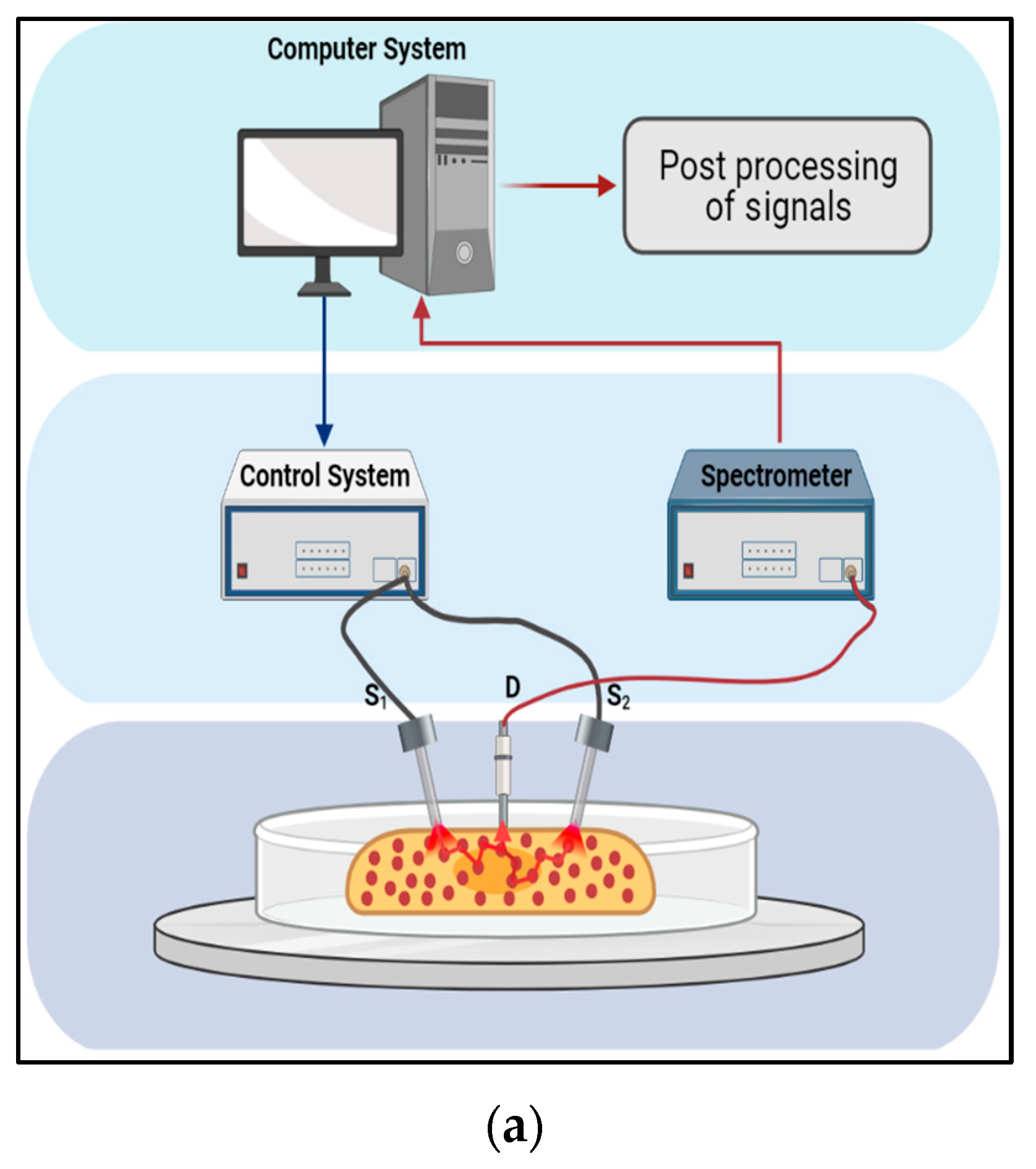 Sensors 23 03063 g002a