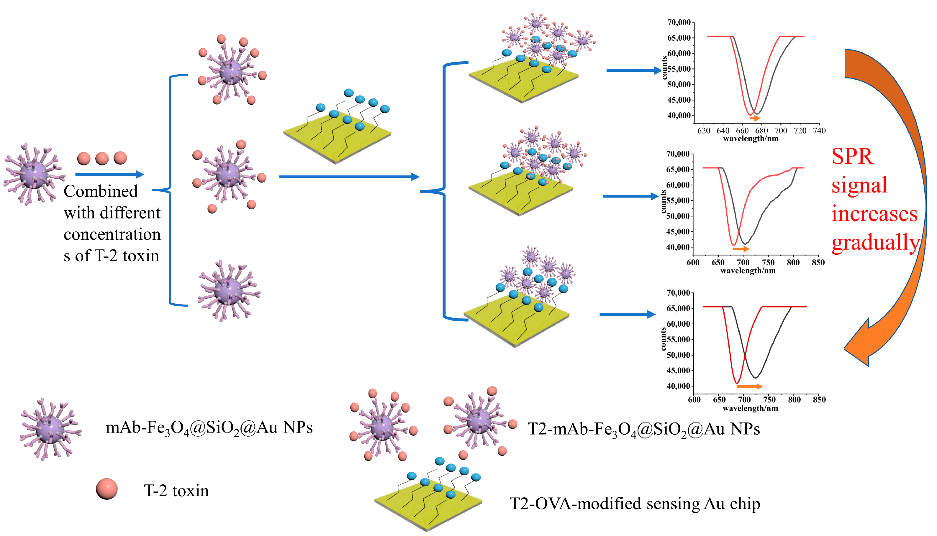 Sensors 23 03078 g002 Sensors 23 03078 g002