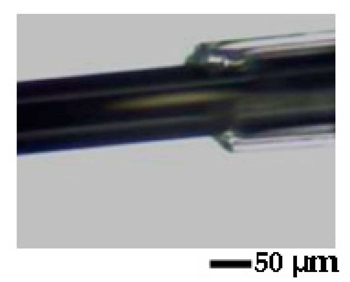 Sensors 23 03079 g001
