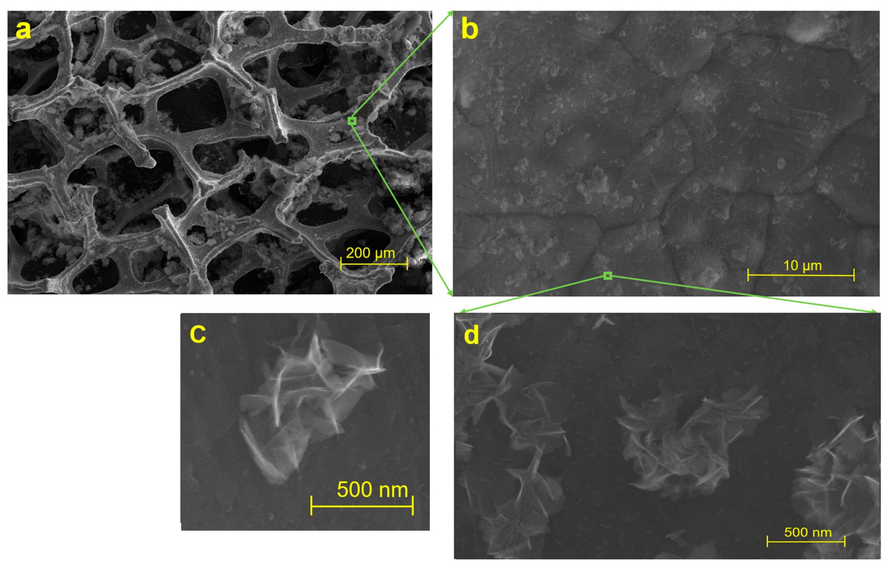 Sensors 23 03099 g002 Sensors 23 03099 g002