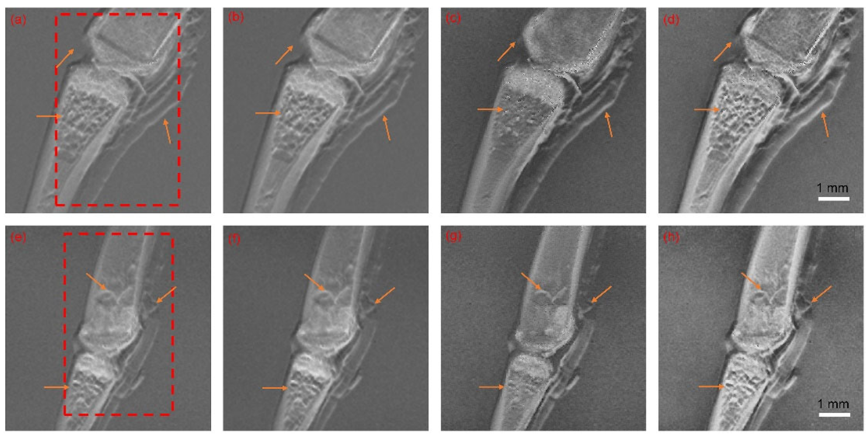 Sensors 23 03115 g005 Sensors 23 03115 g005