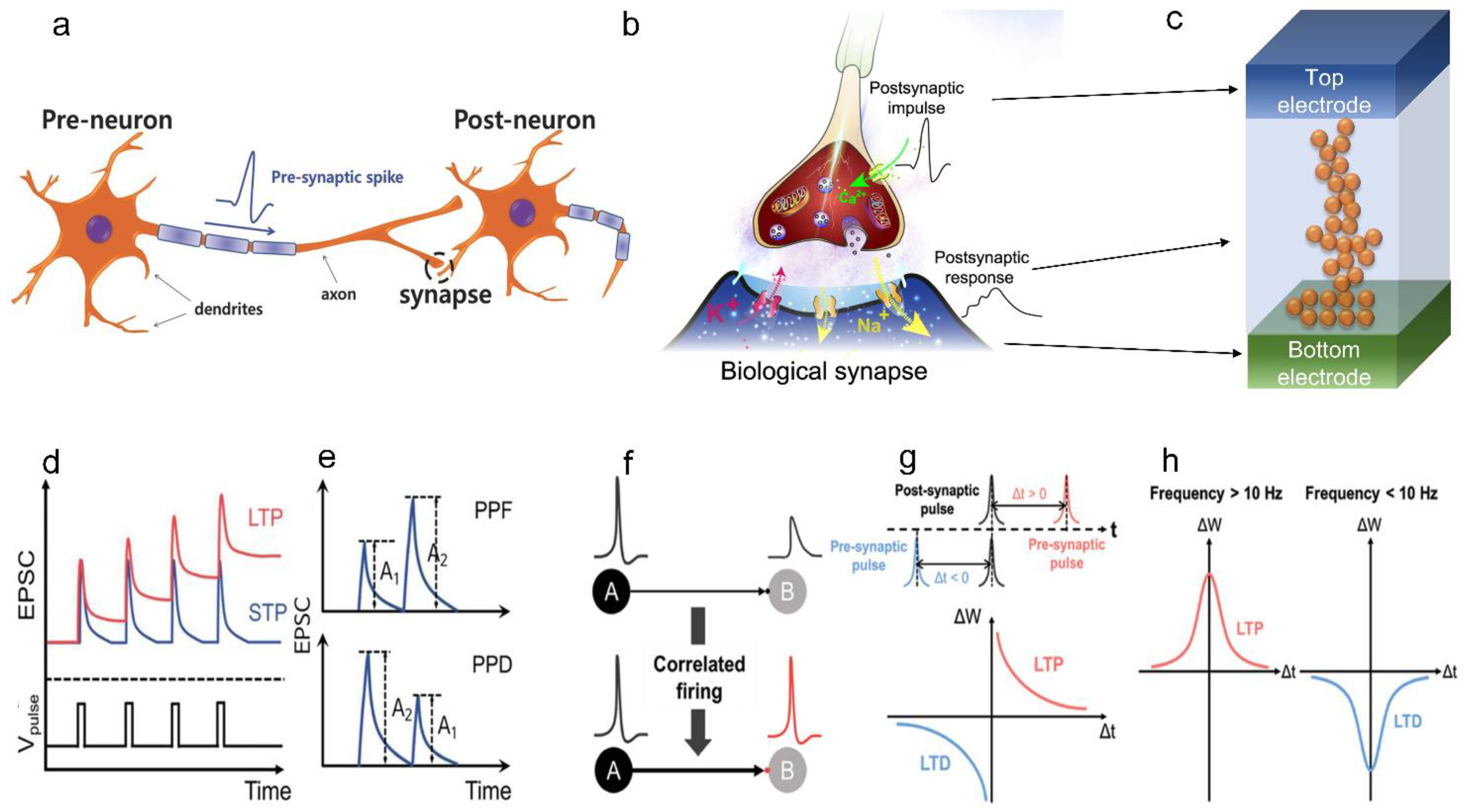 Sensors 23 03118 g005