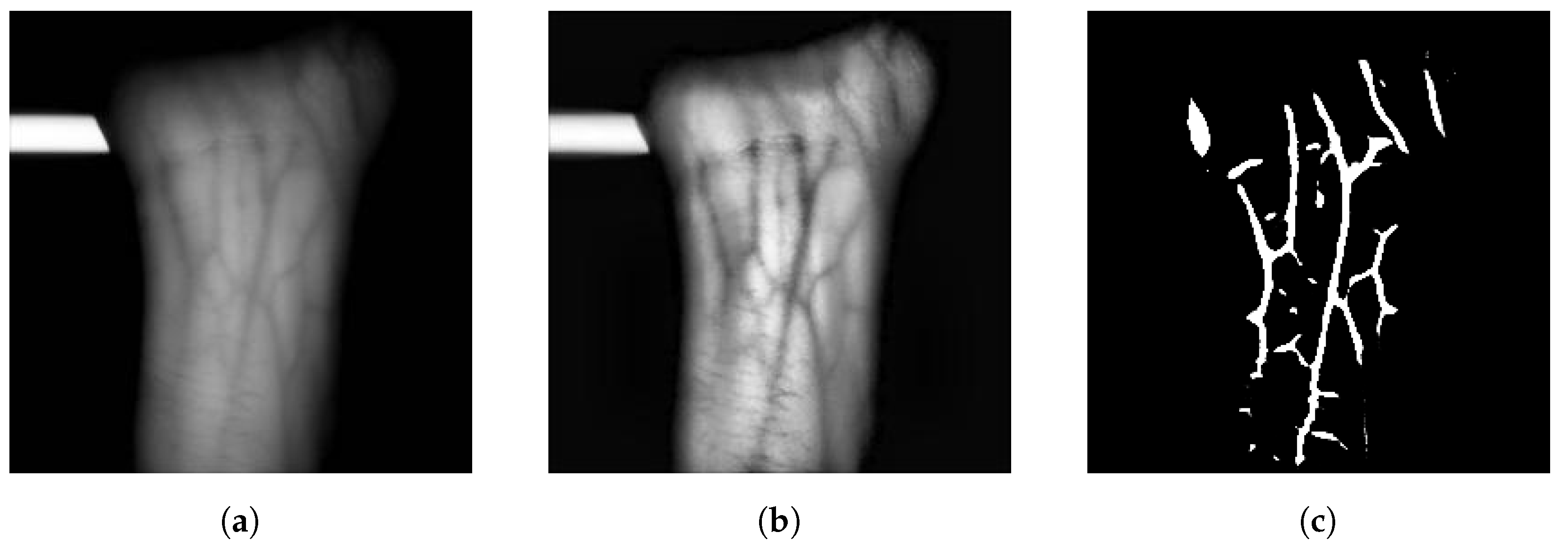 Sensors 23 03132 g001 550