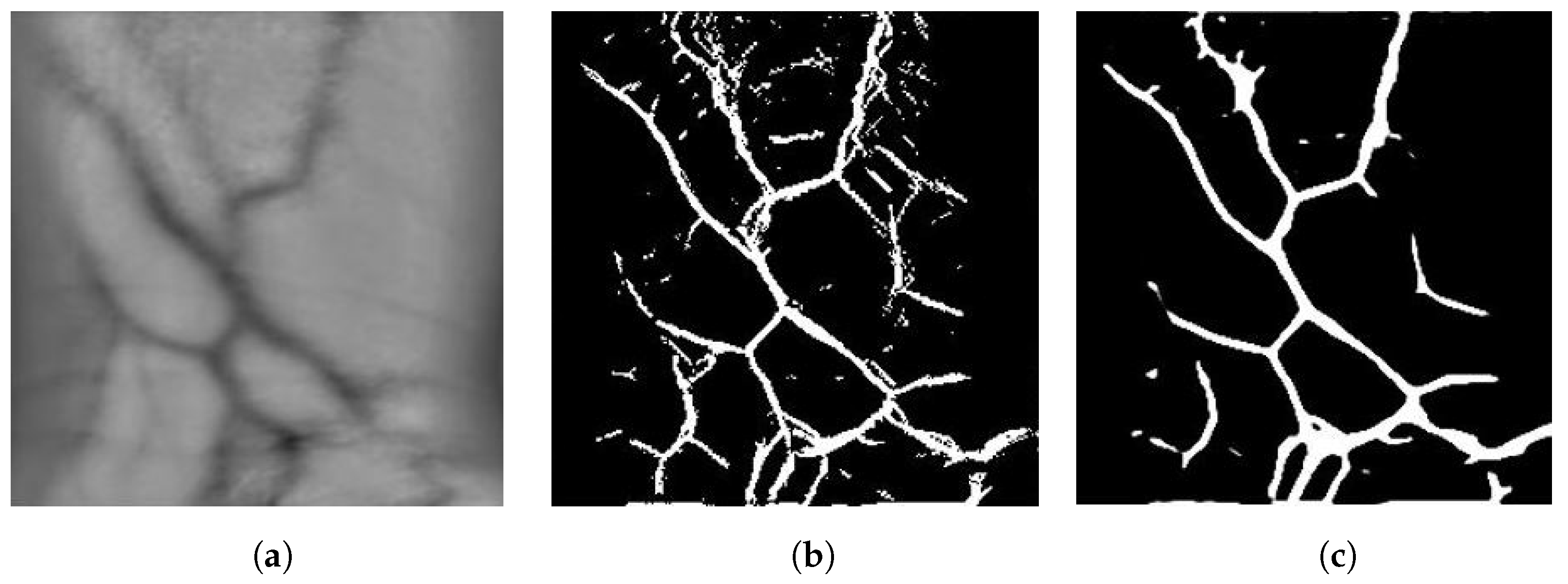 Sensors 23 03132 g004 550