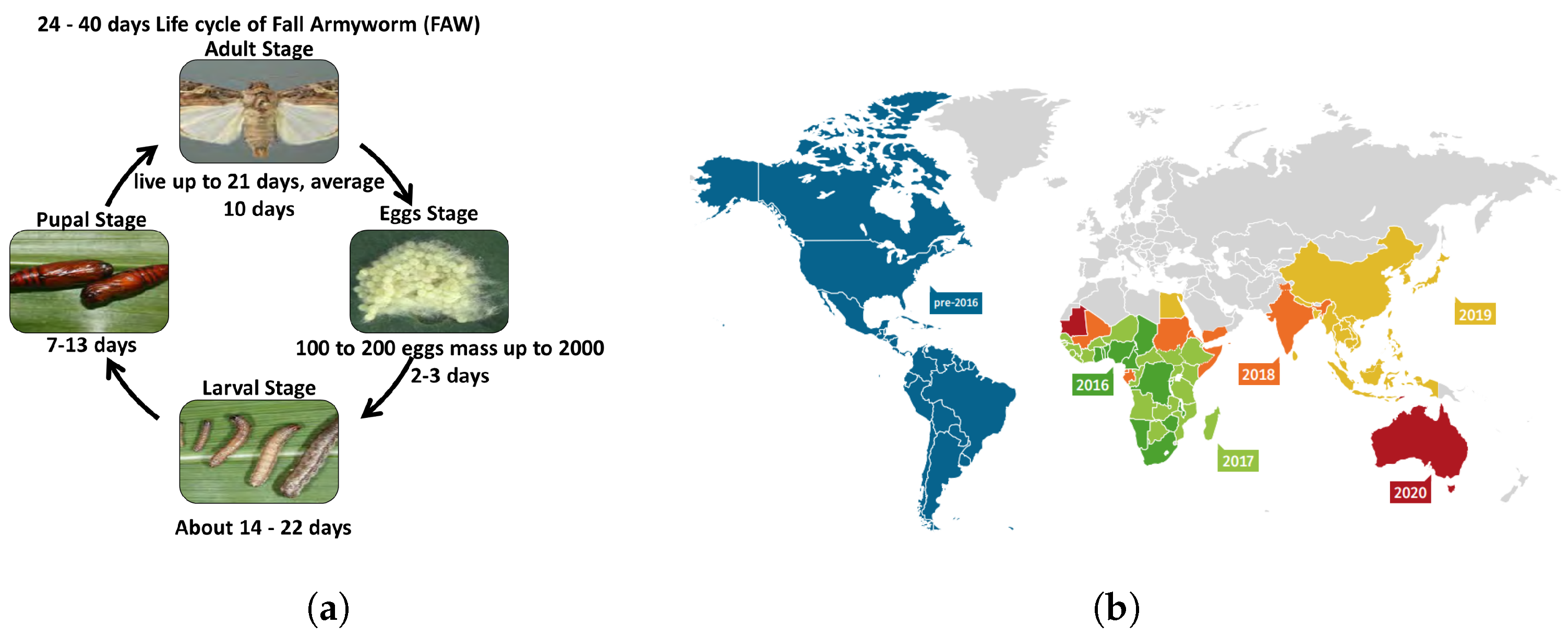 Sensors 23 03147 g001 Sensors 23 03147 g001