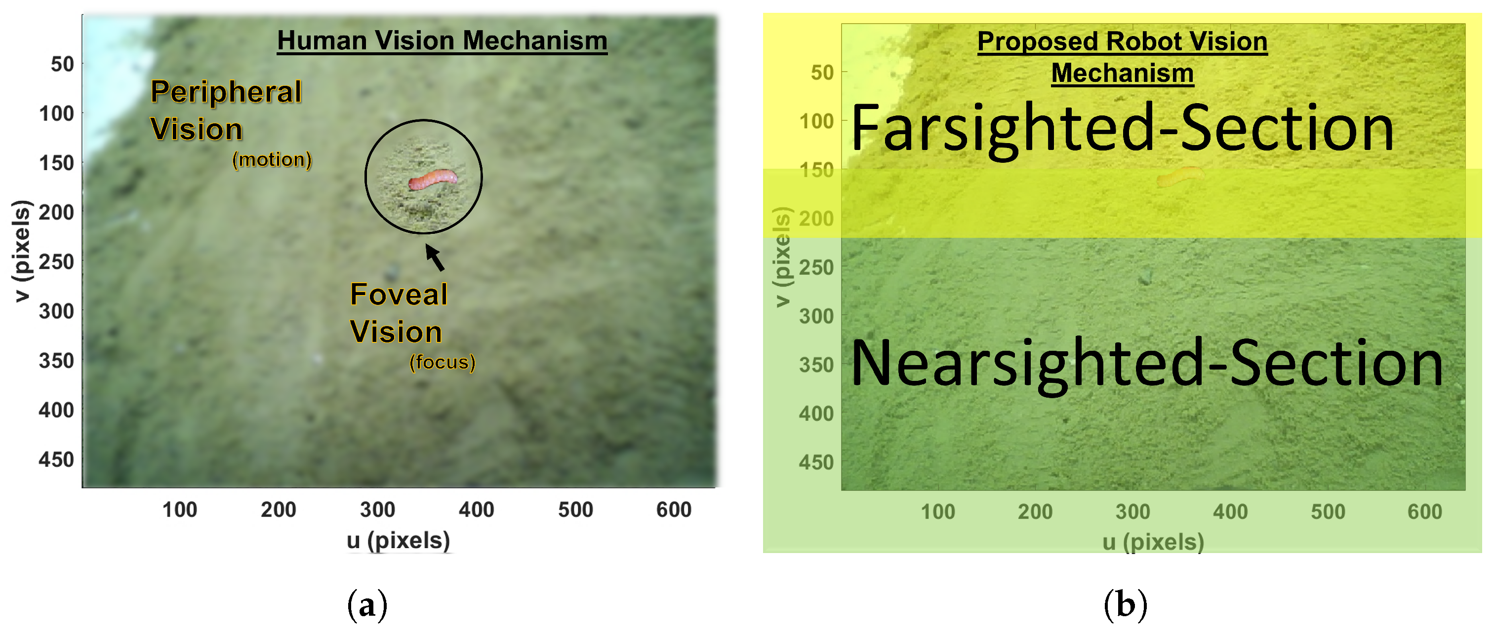 Sensors 23 03147 g002 Sensors 23 03147 g002