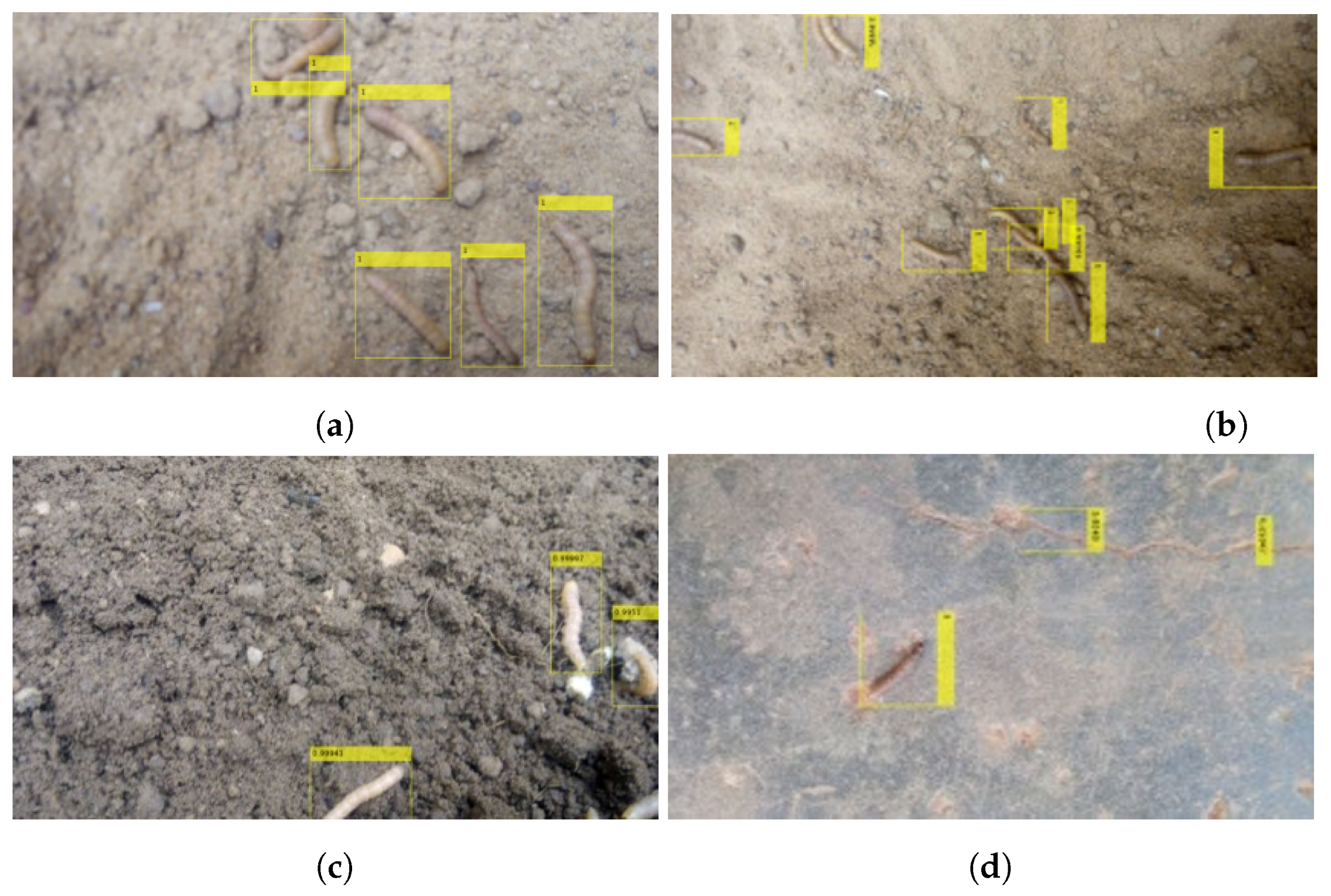 Sensors 23 03147 g010 Sensors 23 03147 g010