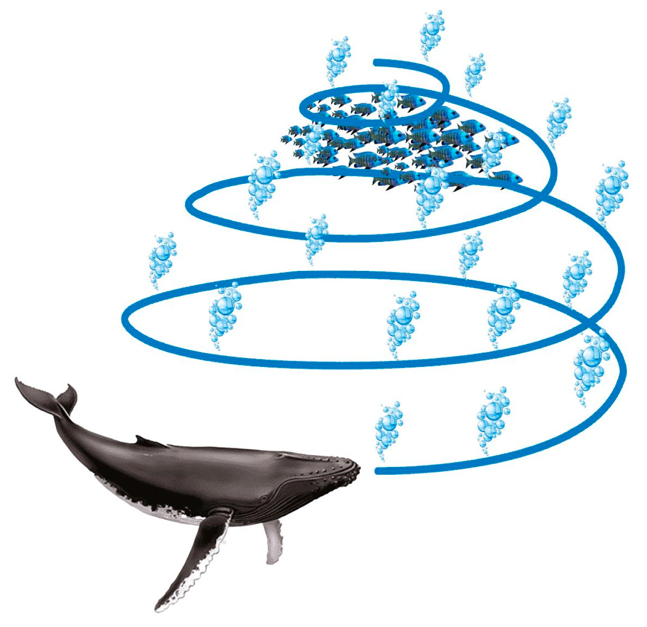 Sensors 23 03171 g003 Sensors 23 03171 g003