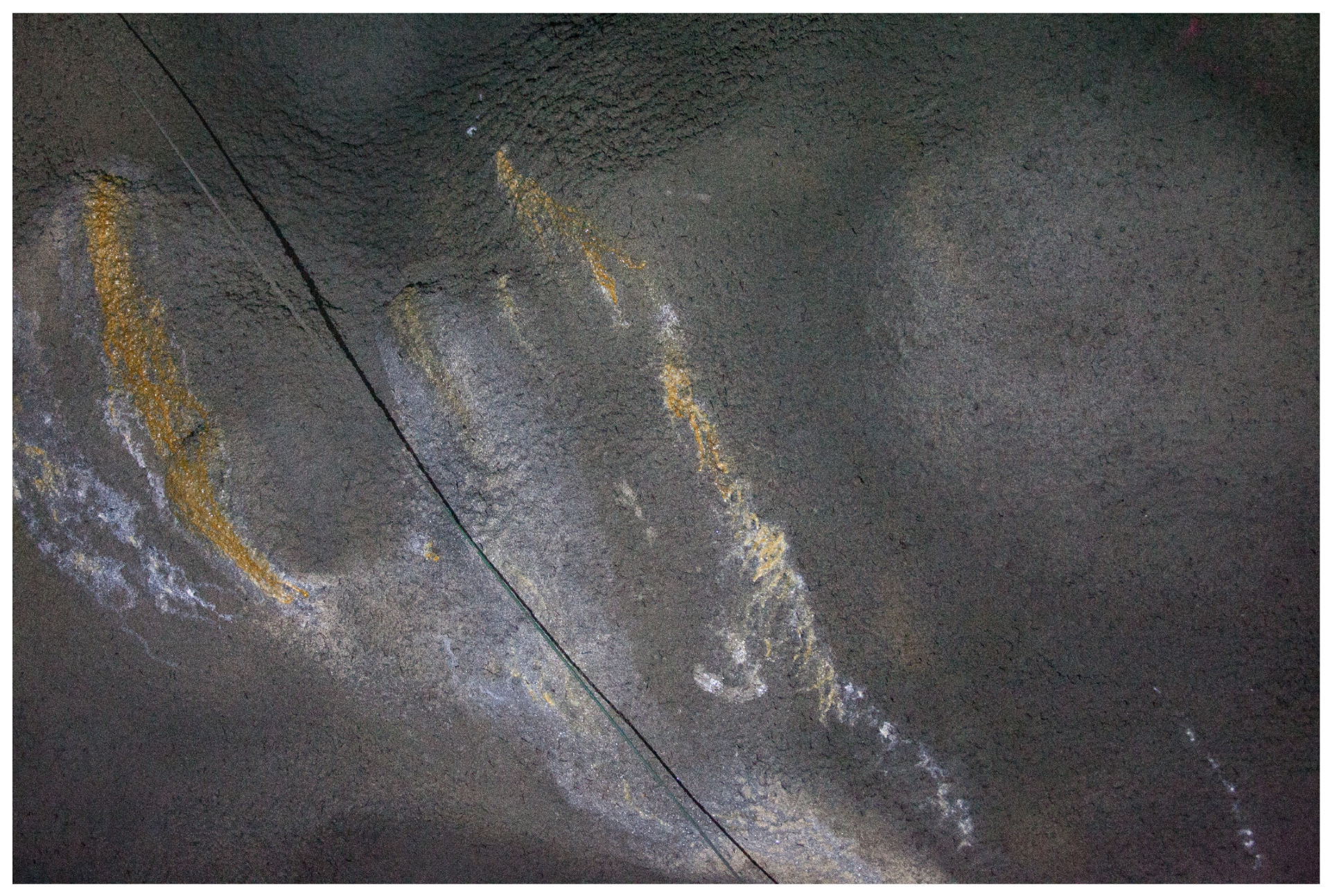 Sensors 23 03189 g005 Sensors 23 03189 g005