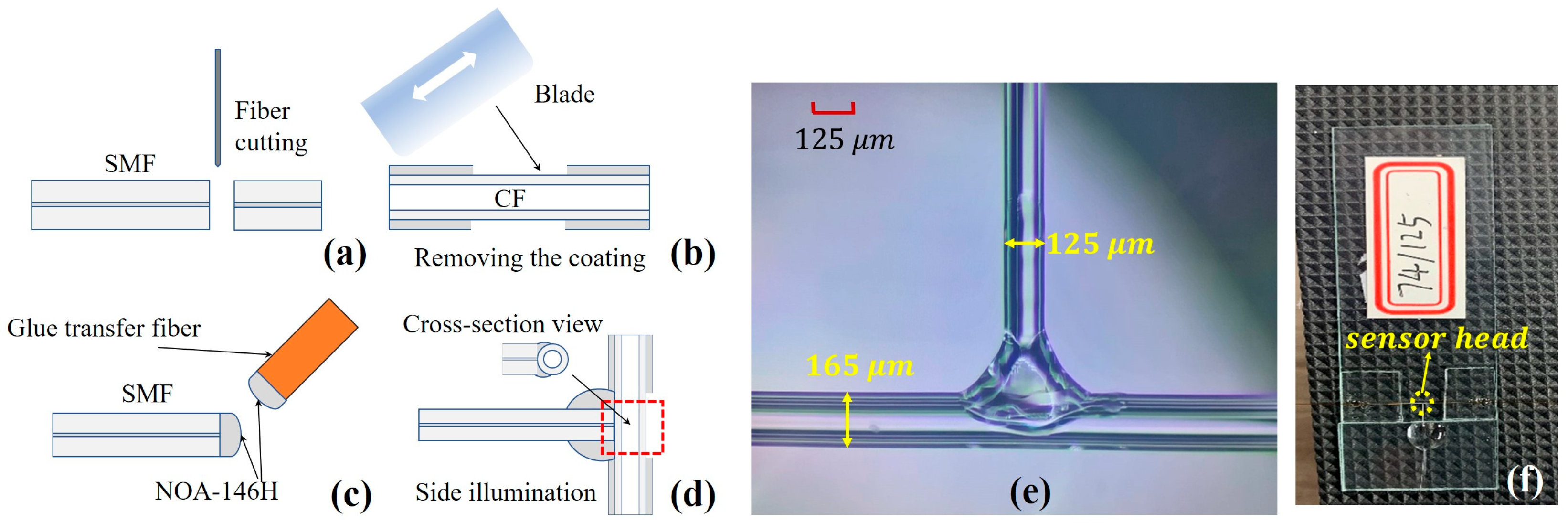 Sensors 23 03198 g002
