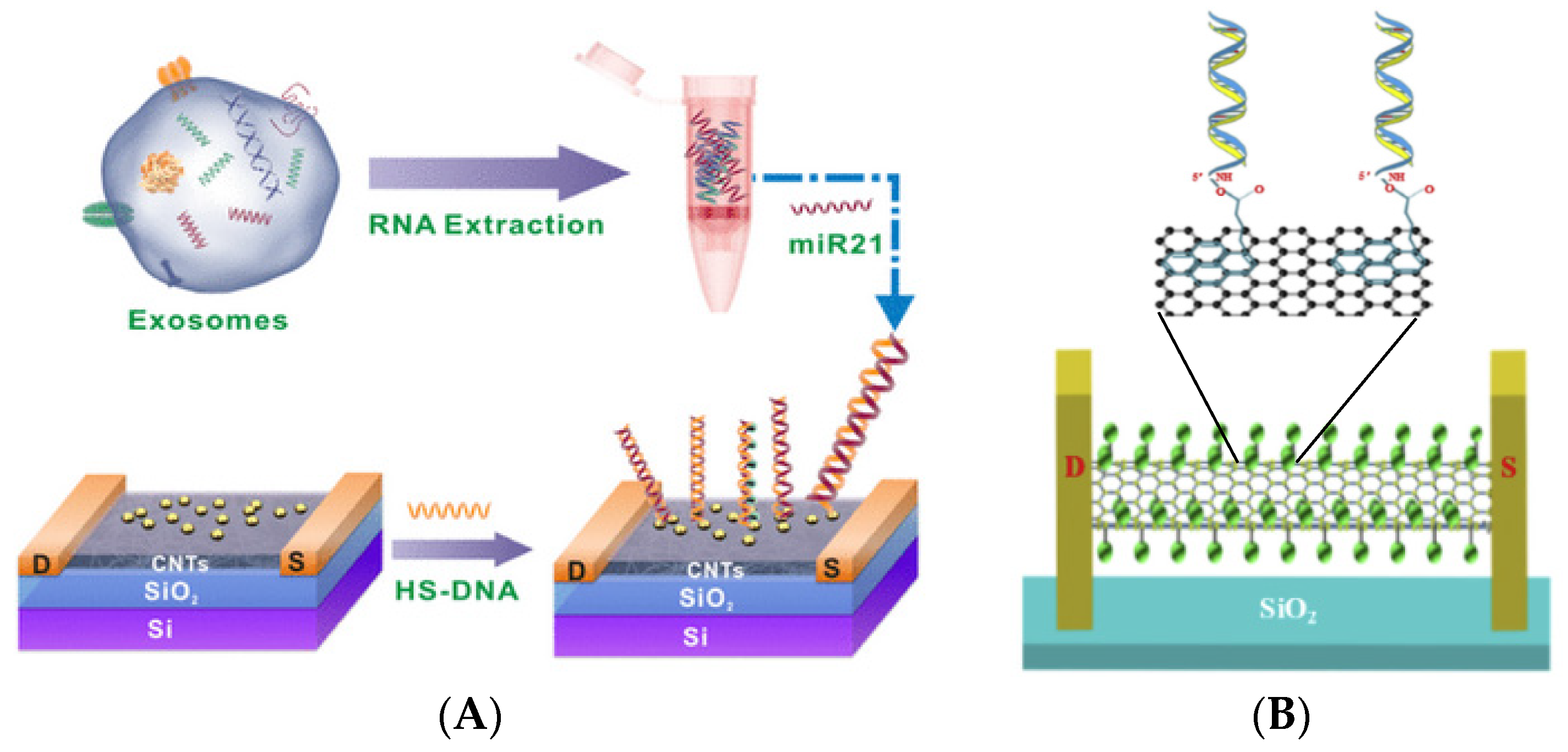 Sensors 23 03230 g017 Sensors 23 03230 g017