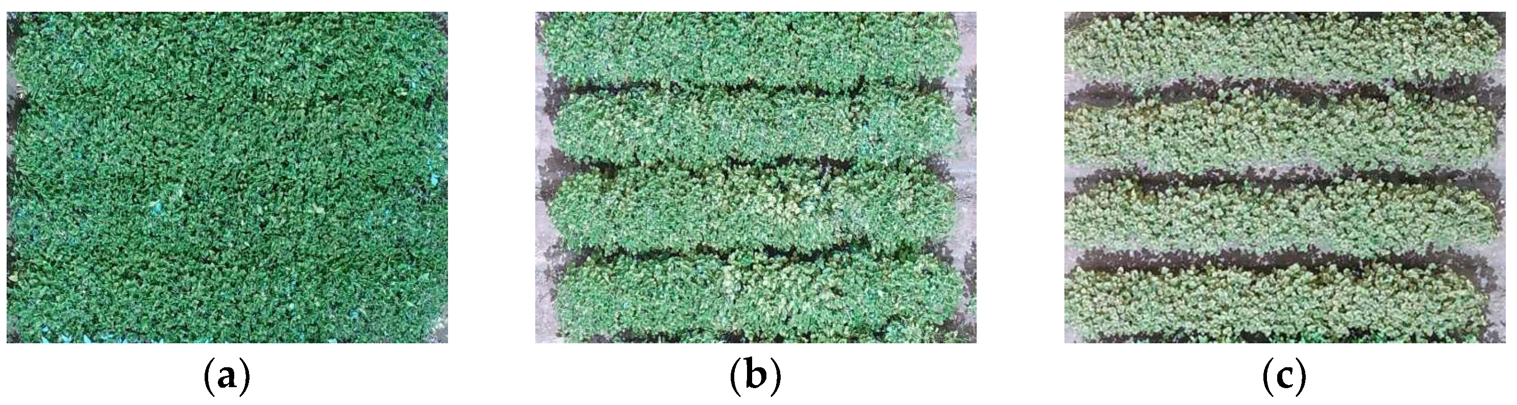 Sensors 23 03241 g001 Sensors 23 03241 g001