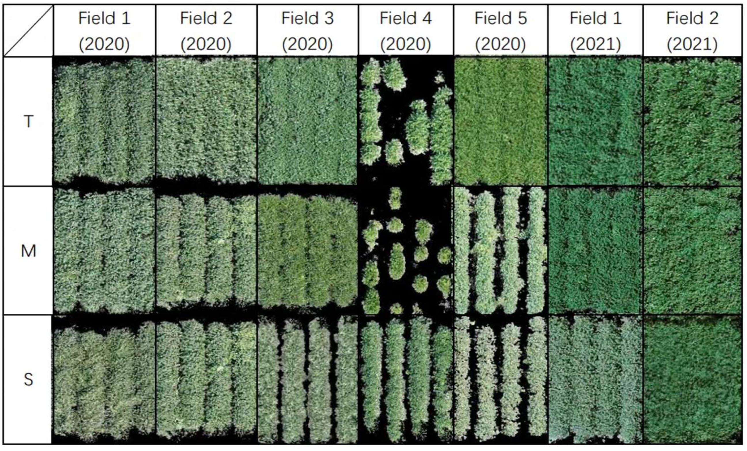 Sensors 23 03241 g004 Sensors 23 03241 g004