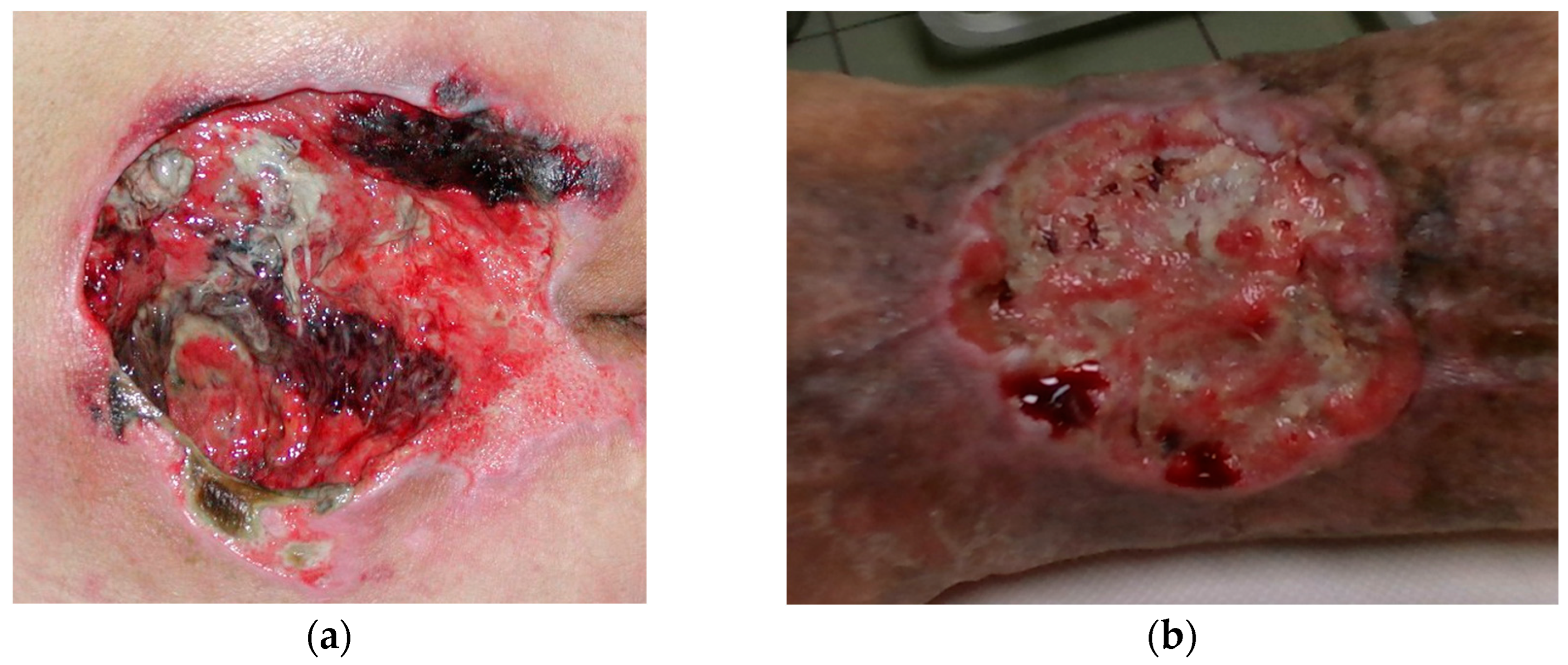 Sensors 23 03298 g001