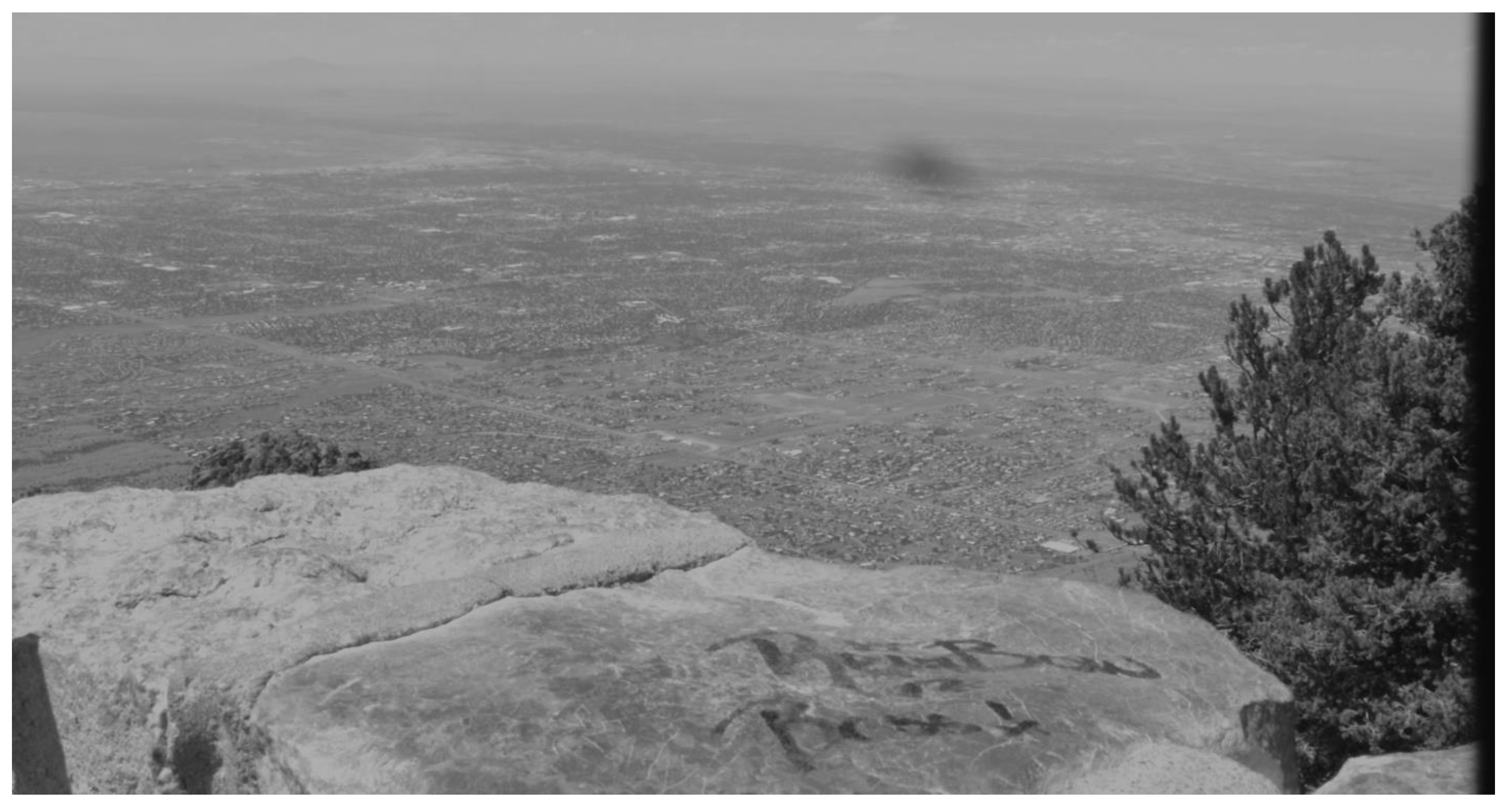 Sensors 23 03314 g002