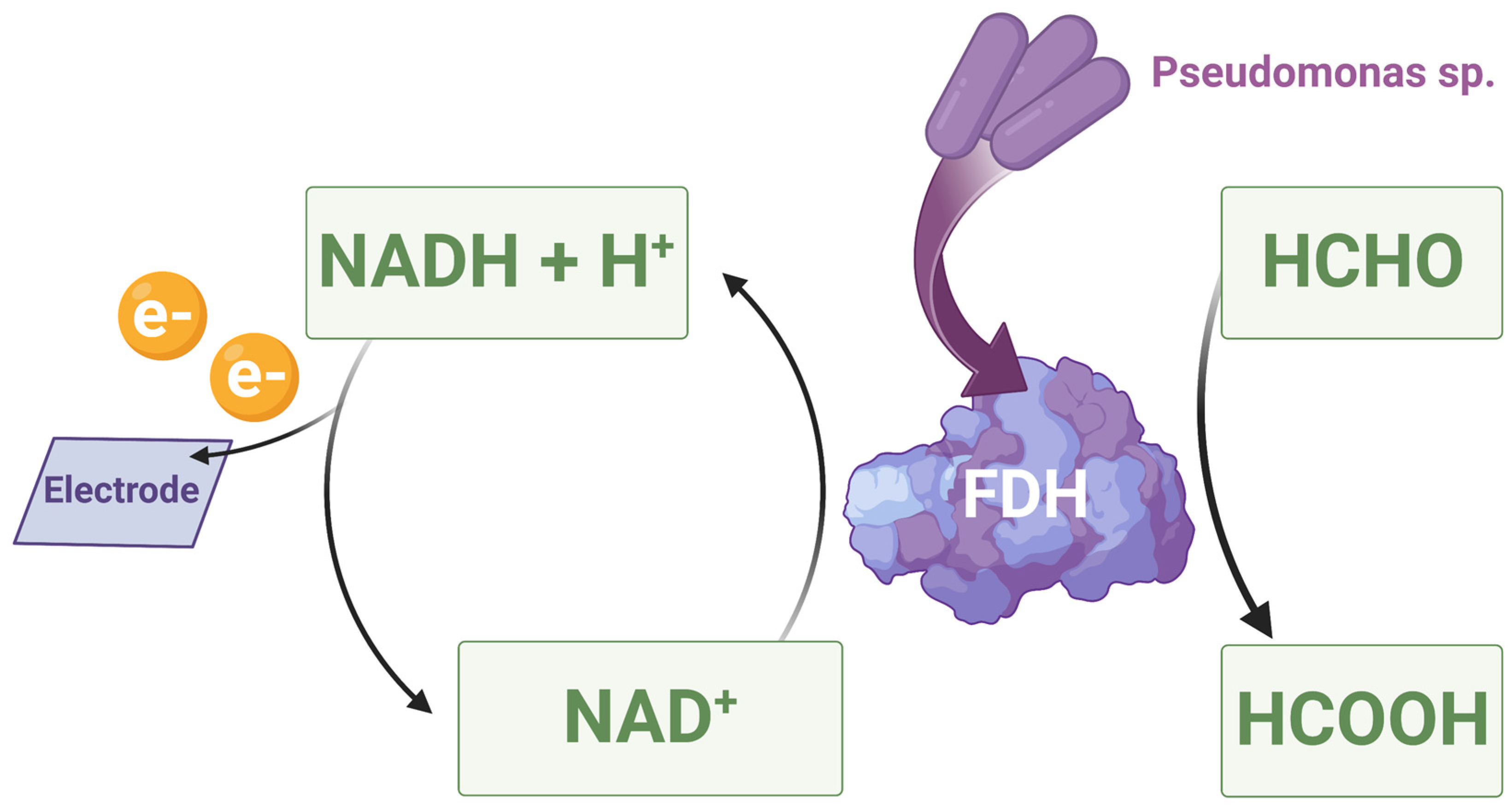 Sensors 23 03369 g002