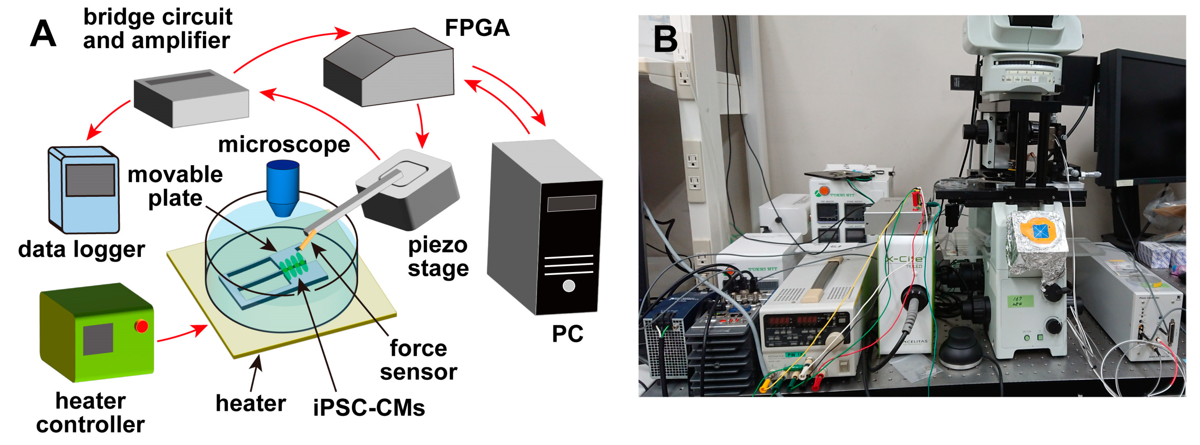 Sensors 23 03370 g001
