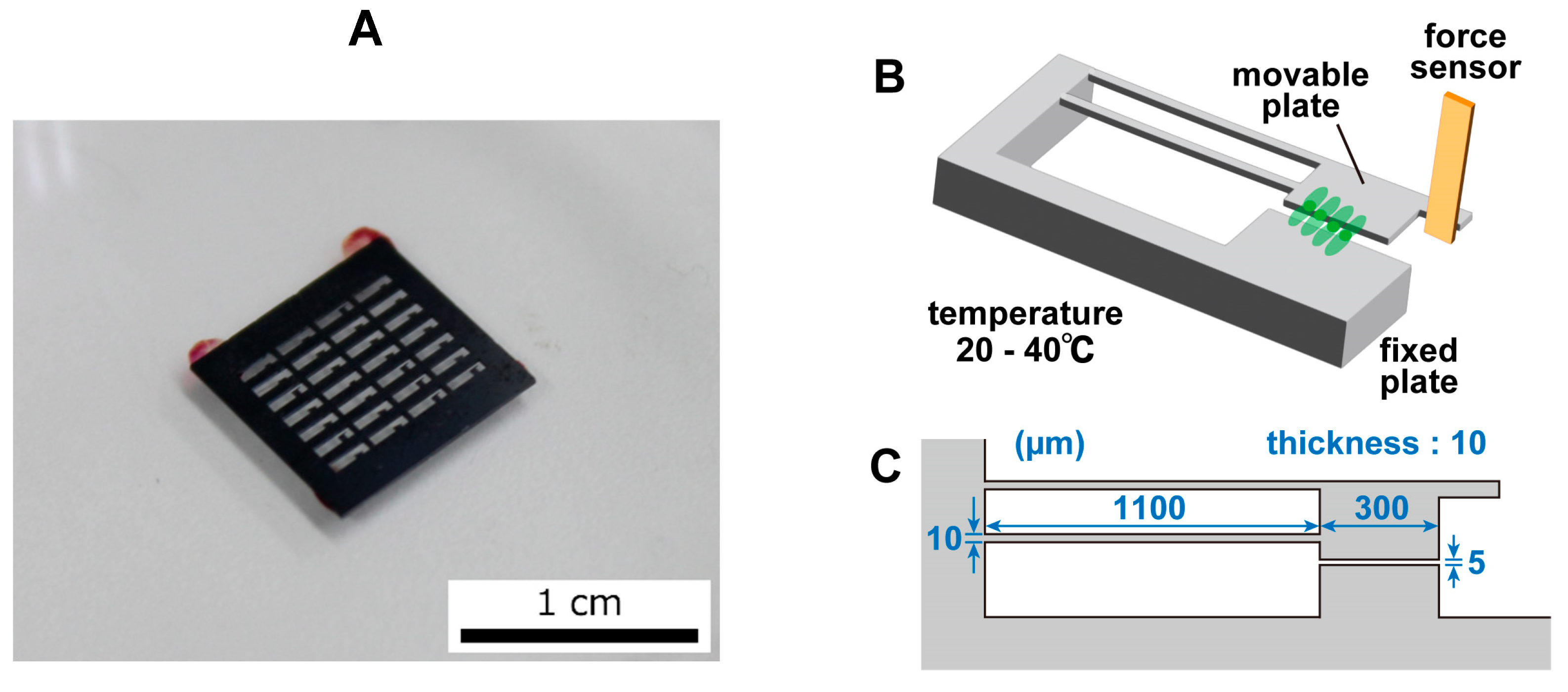 Sensors 23 03370 g002