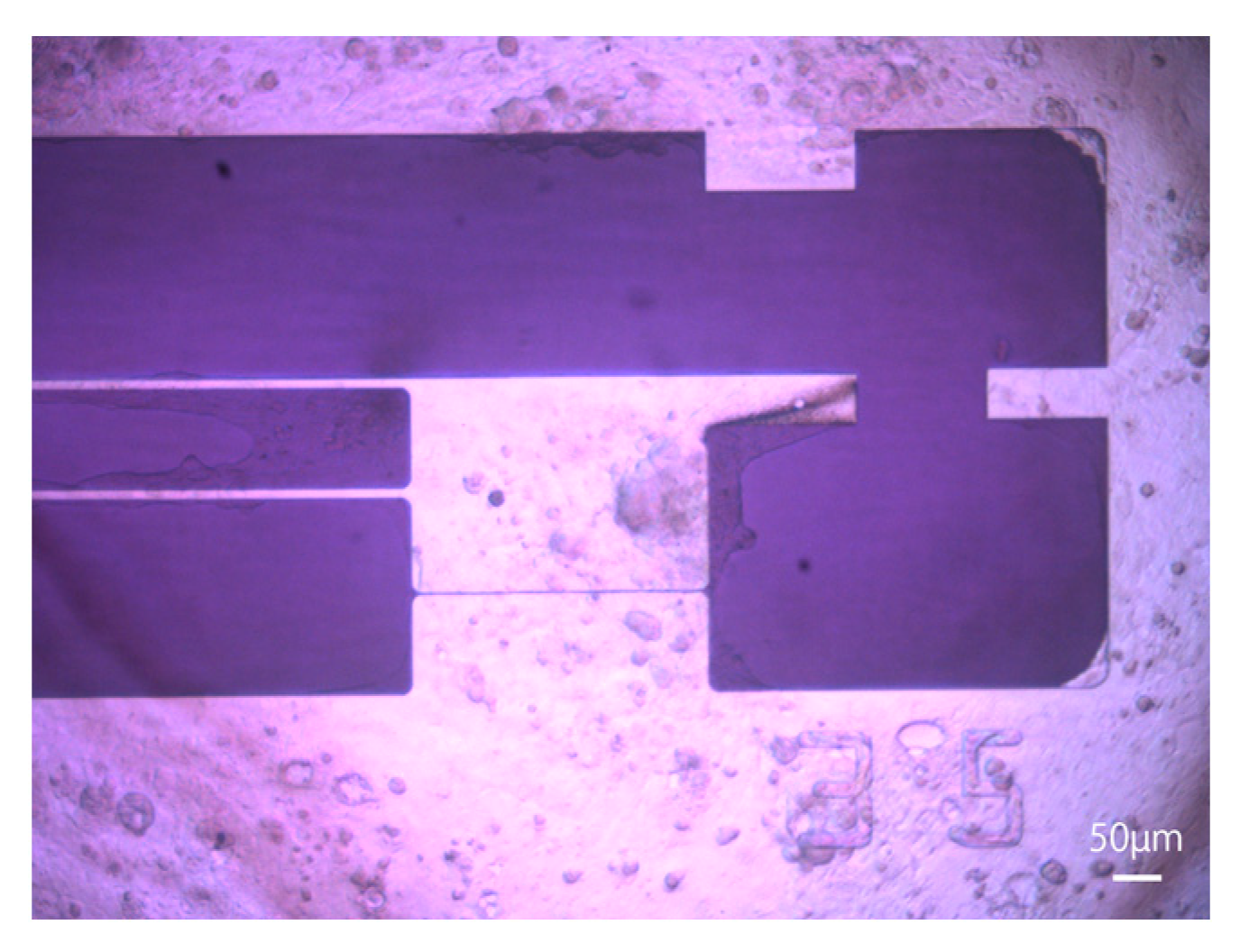 Sensors 23 03370 g004