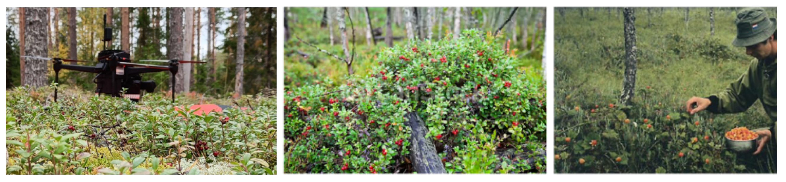 Sensors 23 03388 g001 Sensors 23 03388 g001