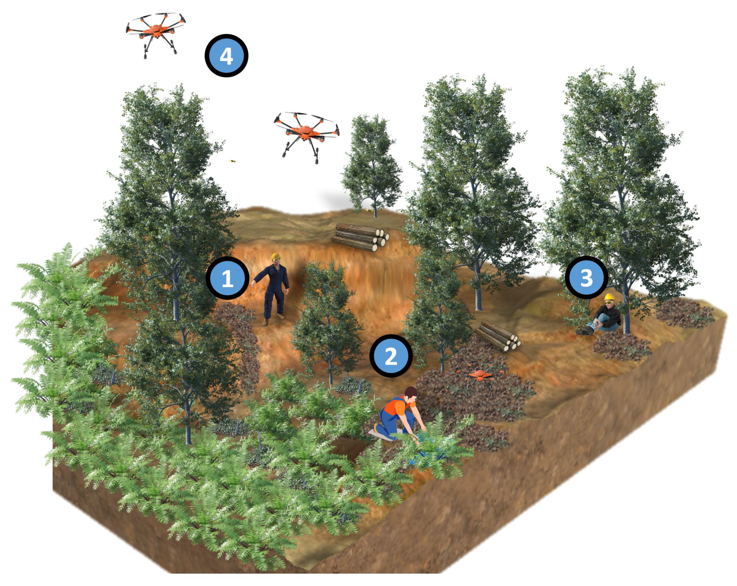 Sensors 23 03388 g002 Sensors 23 03388 g002