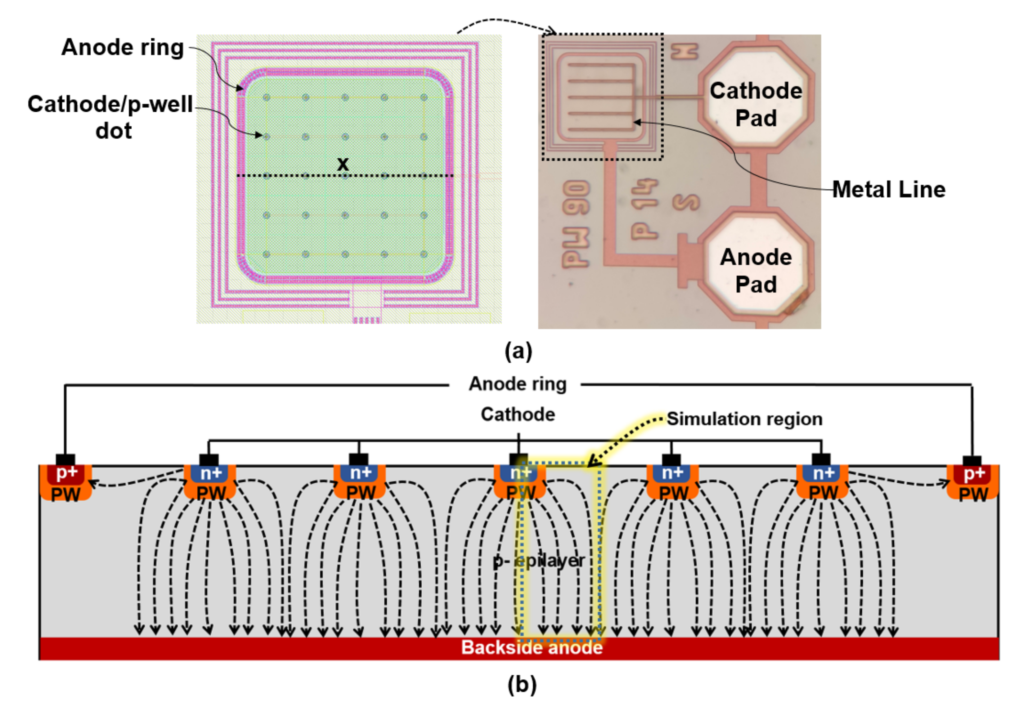 Sensors 23 03403 g004