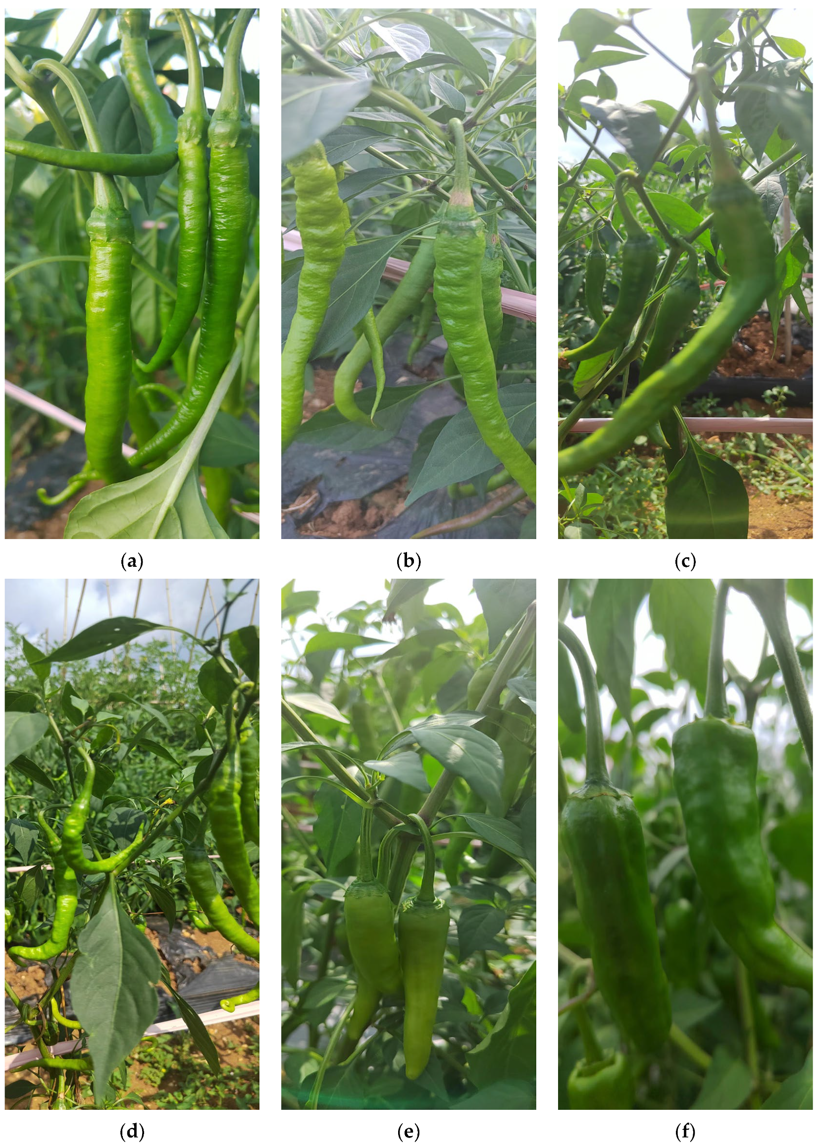 Sensors 23 03408 g008 Sensors 23 03408 g008