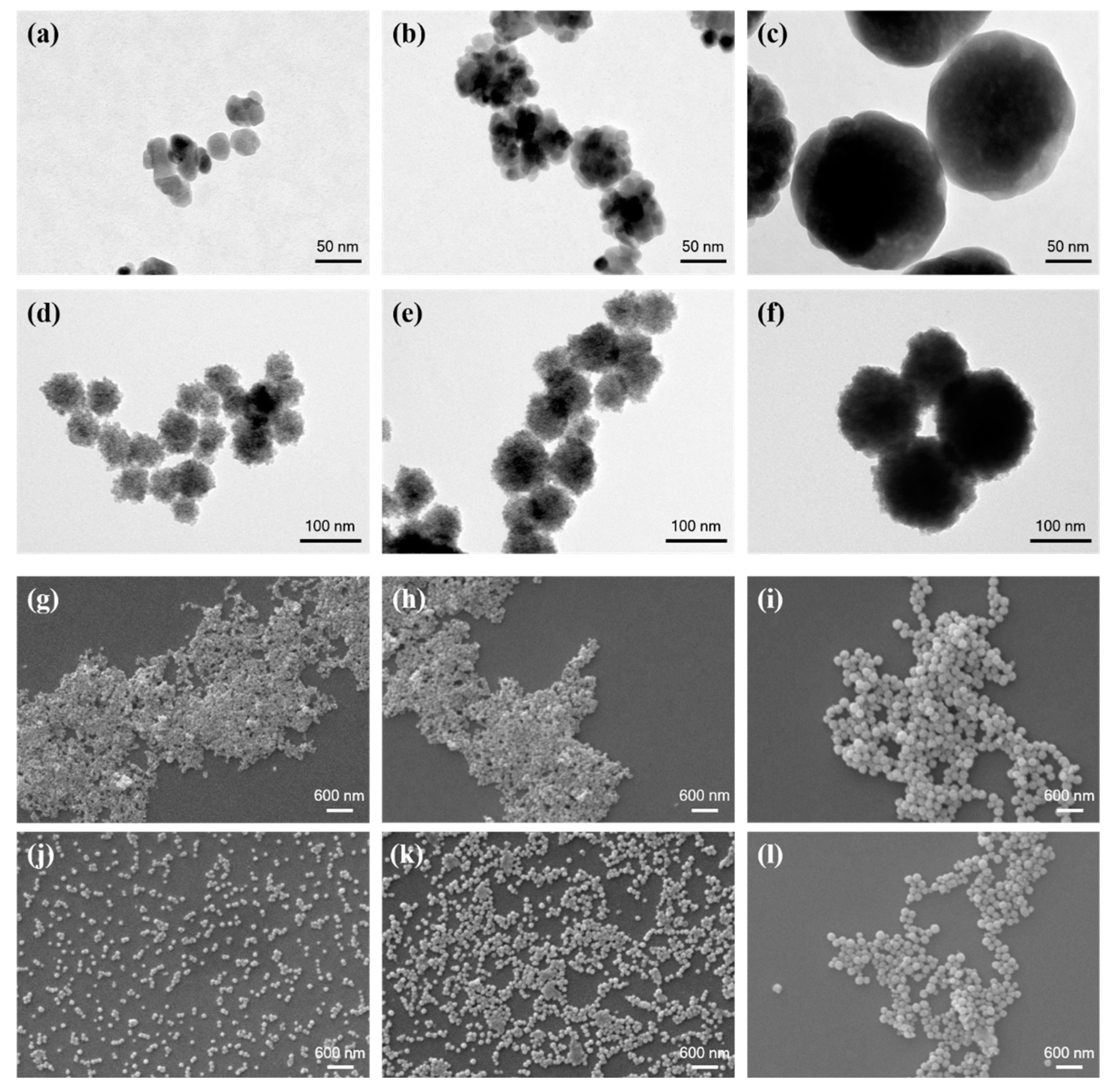 Sensors | Free Full-Text | An In Situ Study on Nanozyme 