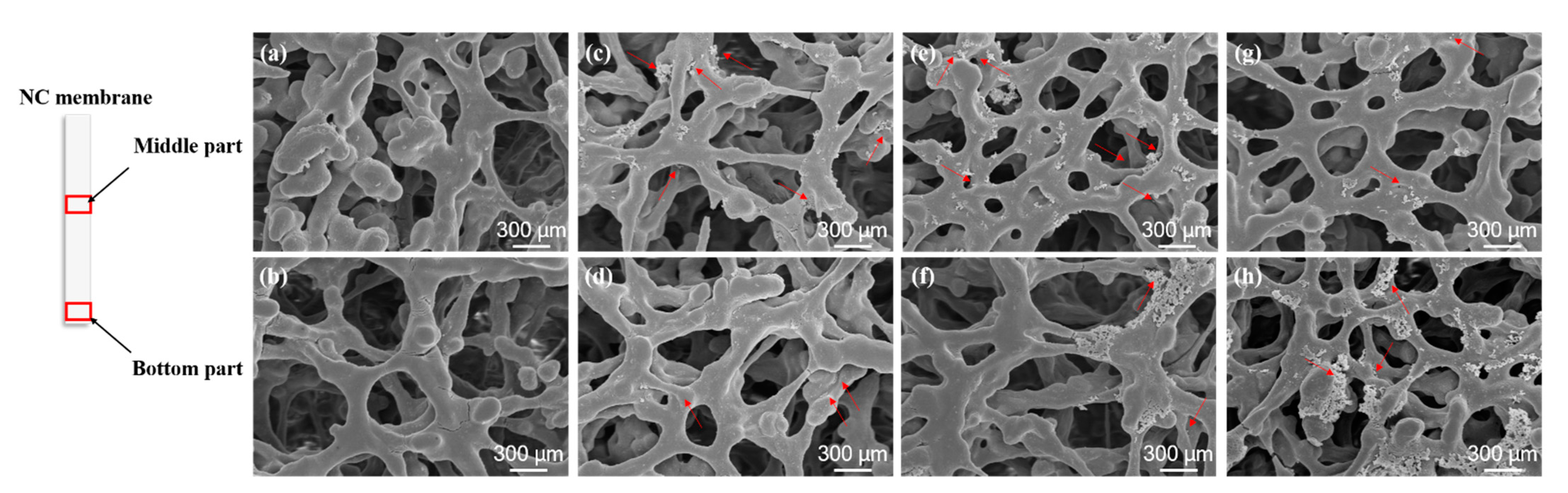 Sensors 23 03414 g005 Sensors 23 03414 g005